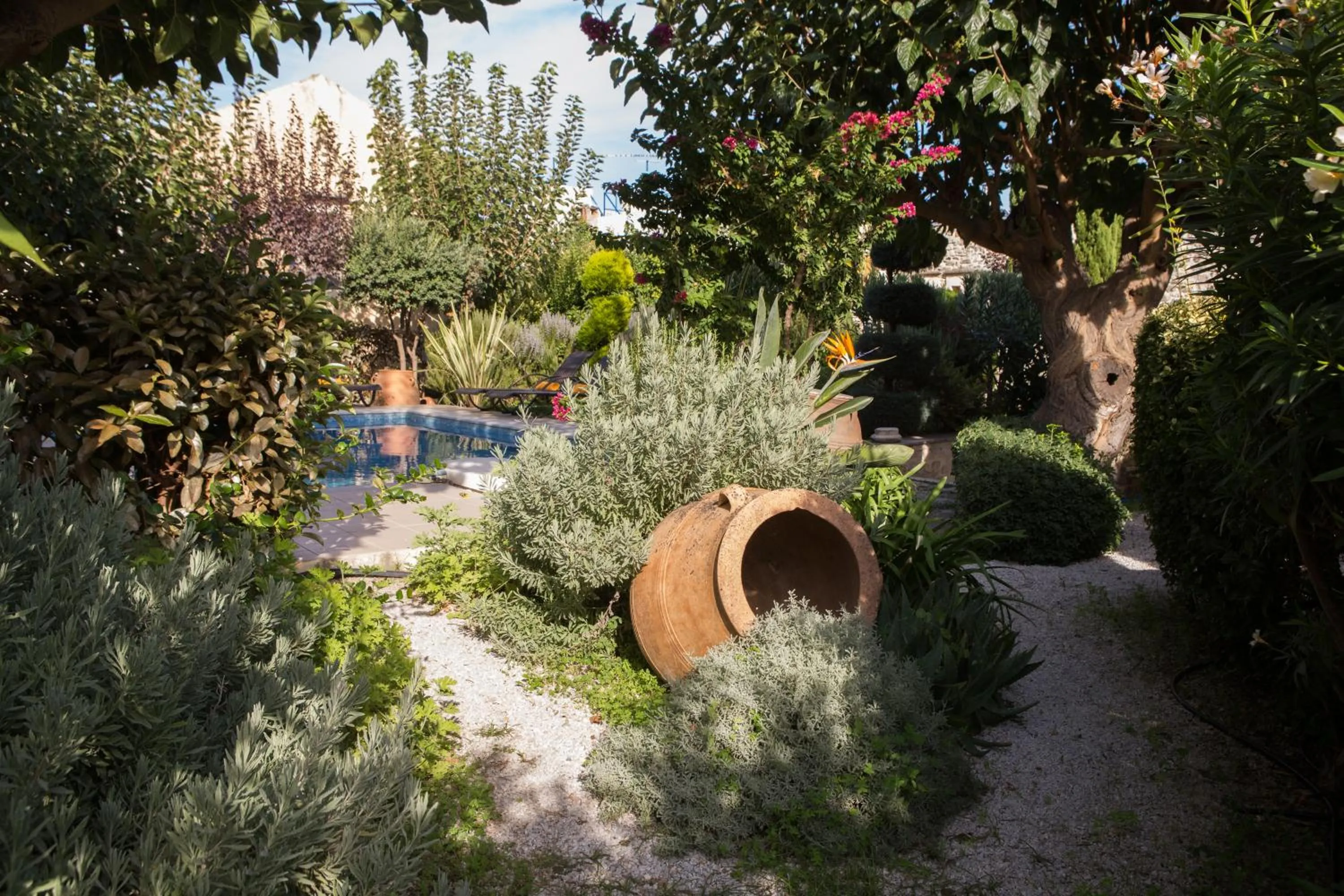 Garden in Arcus Suites