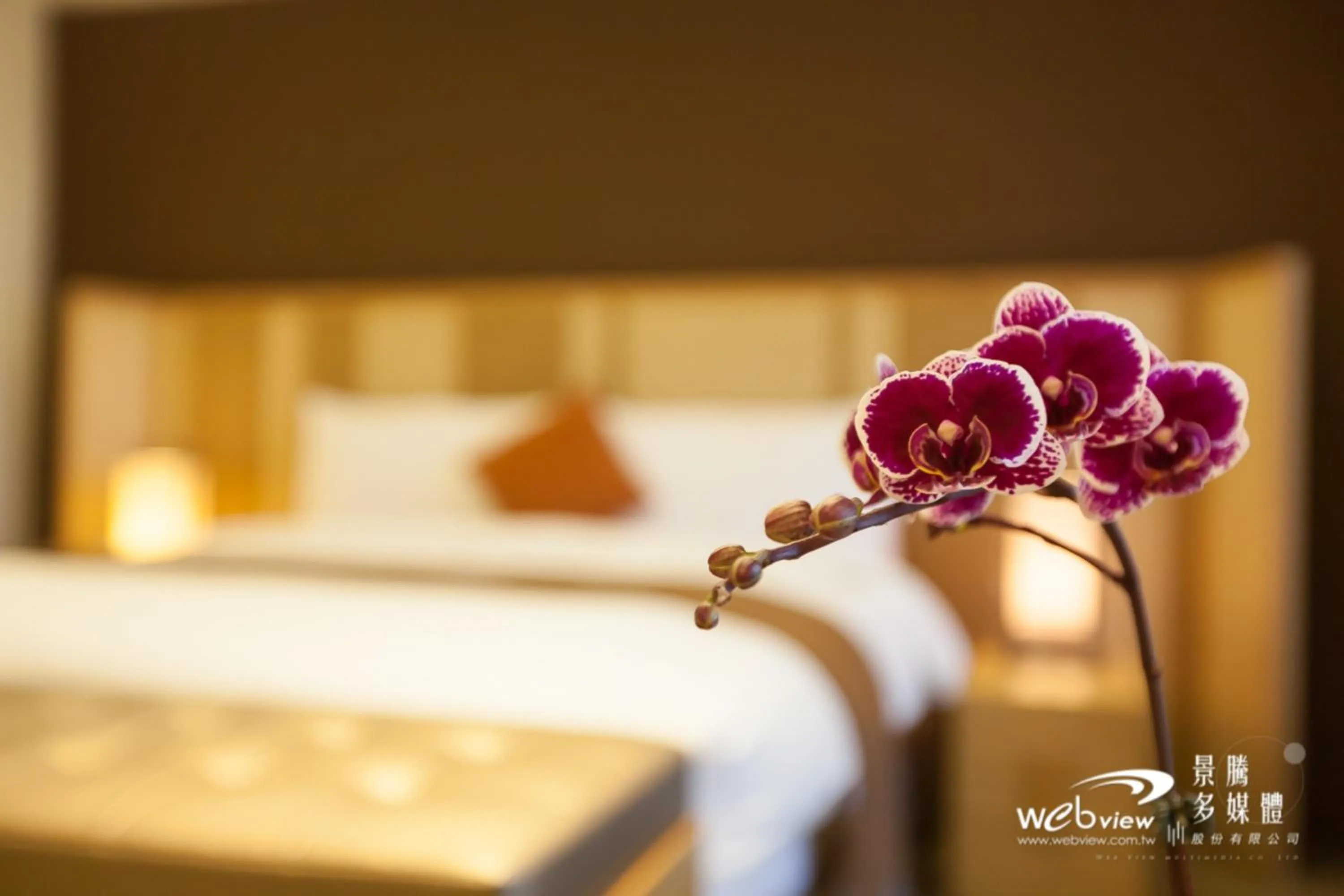 bunk bed, Bed in ISPAVITA B&B Resort