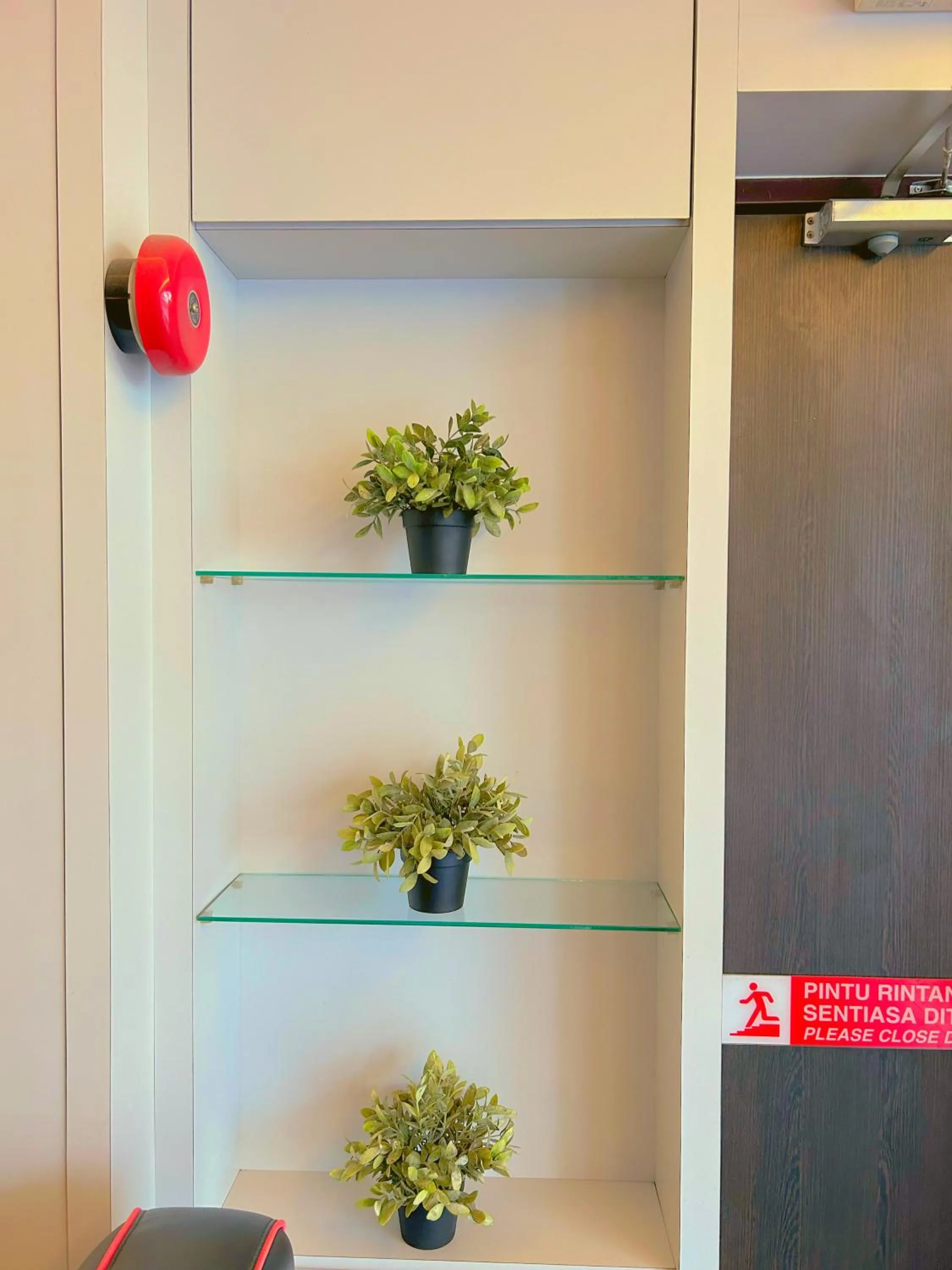 Garden in Double Happiness Hotel