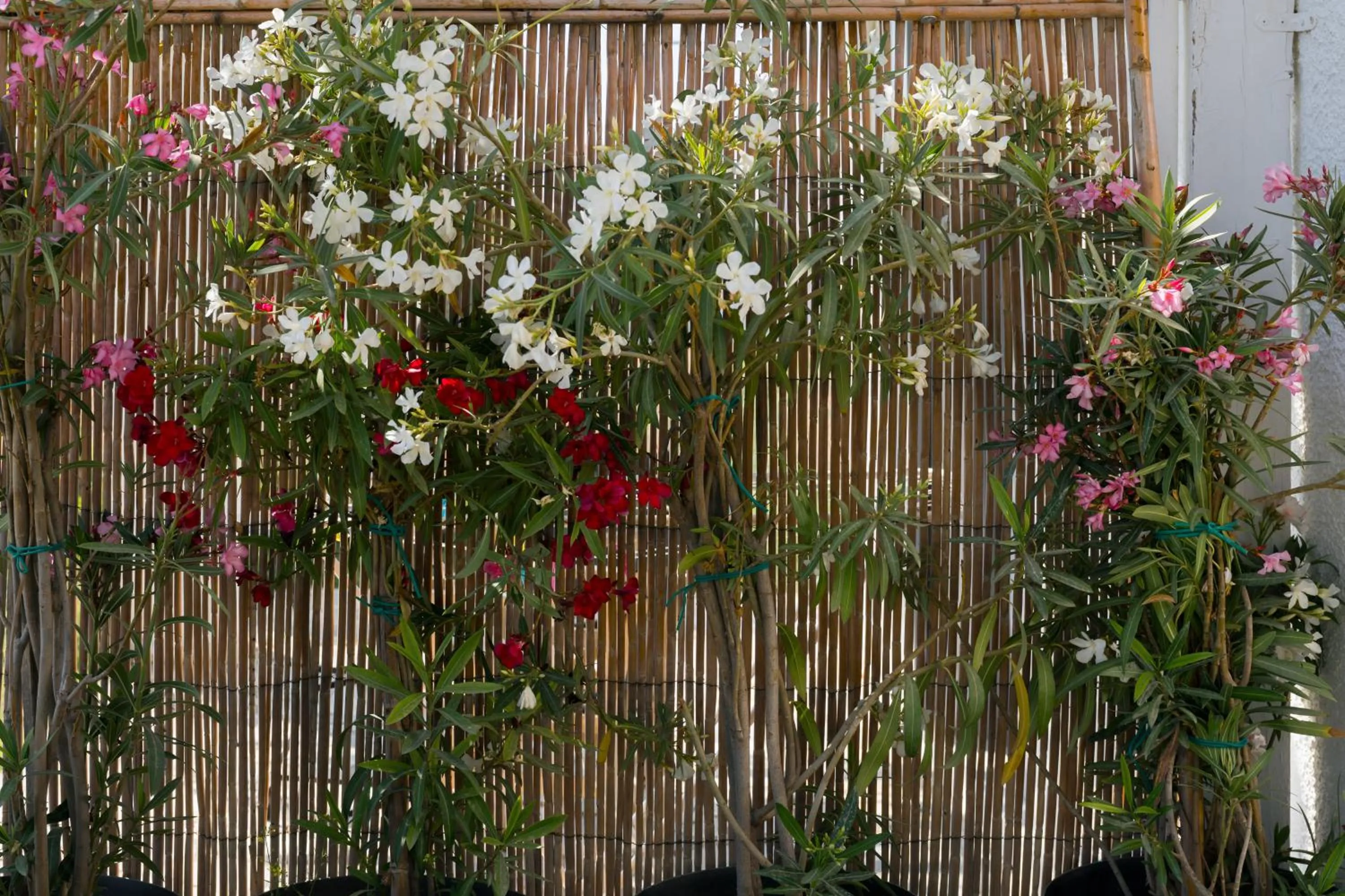 Decorative detail in Scala Apartments