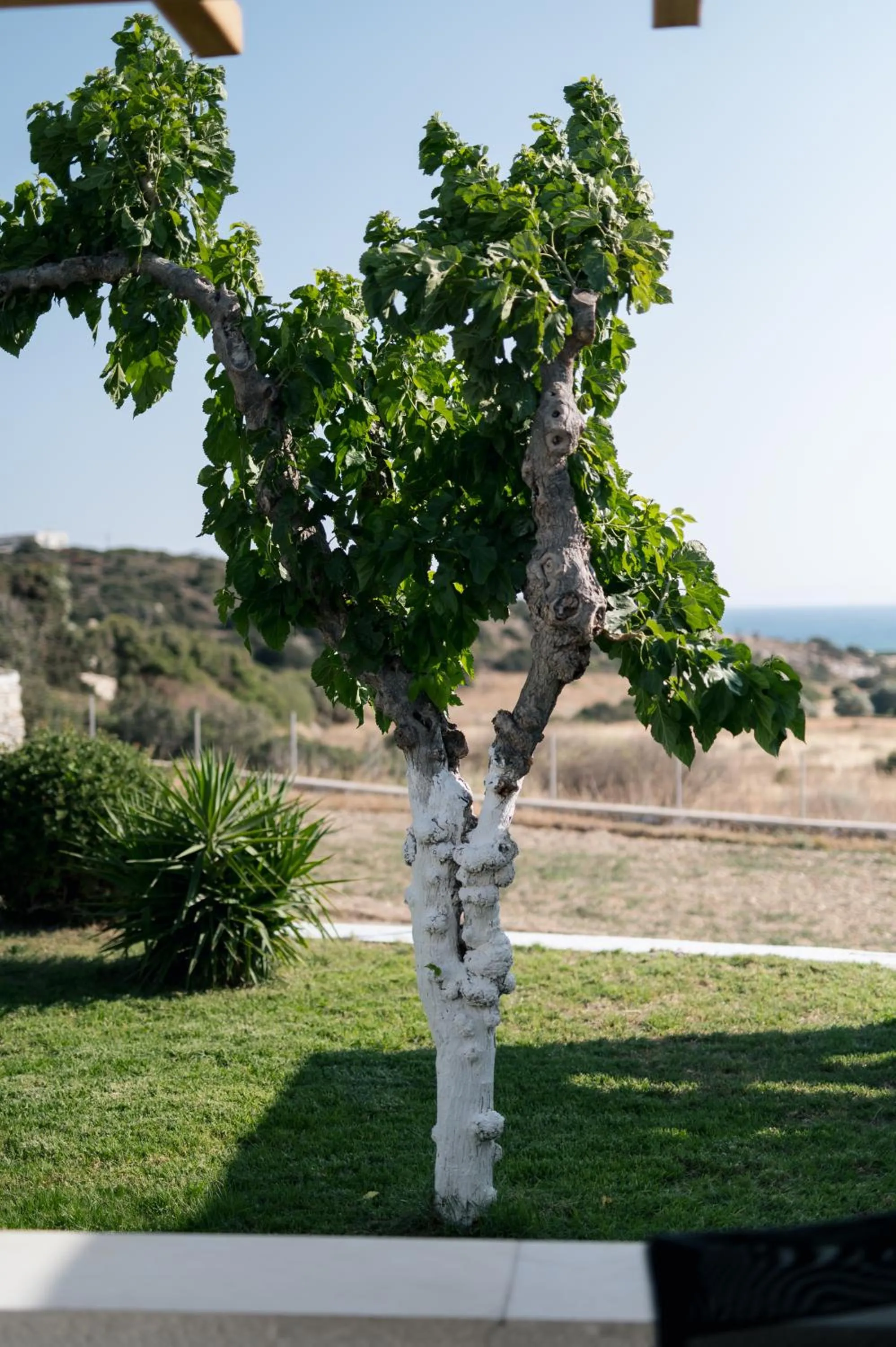 View (from property/room) in Scala Apartments