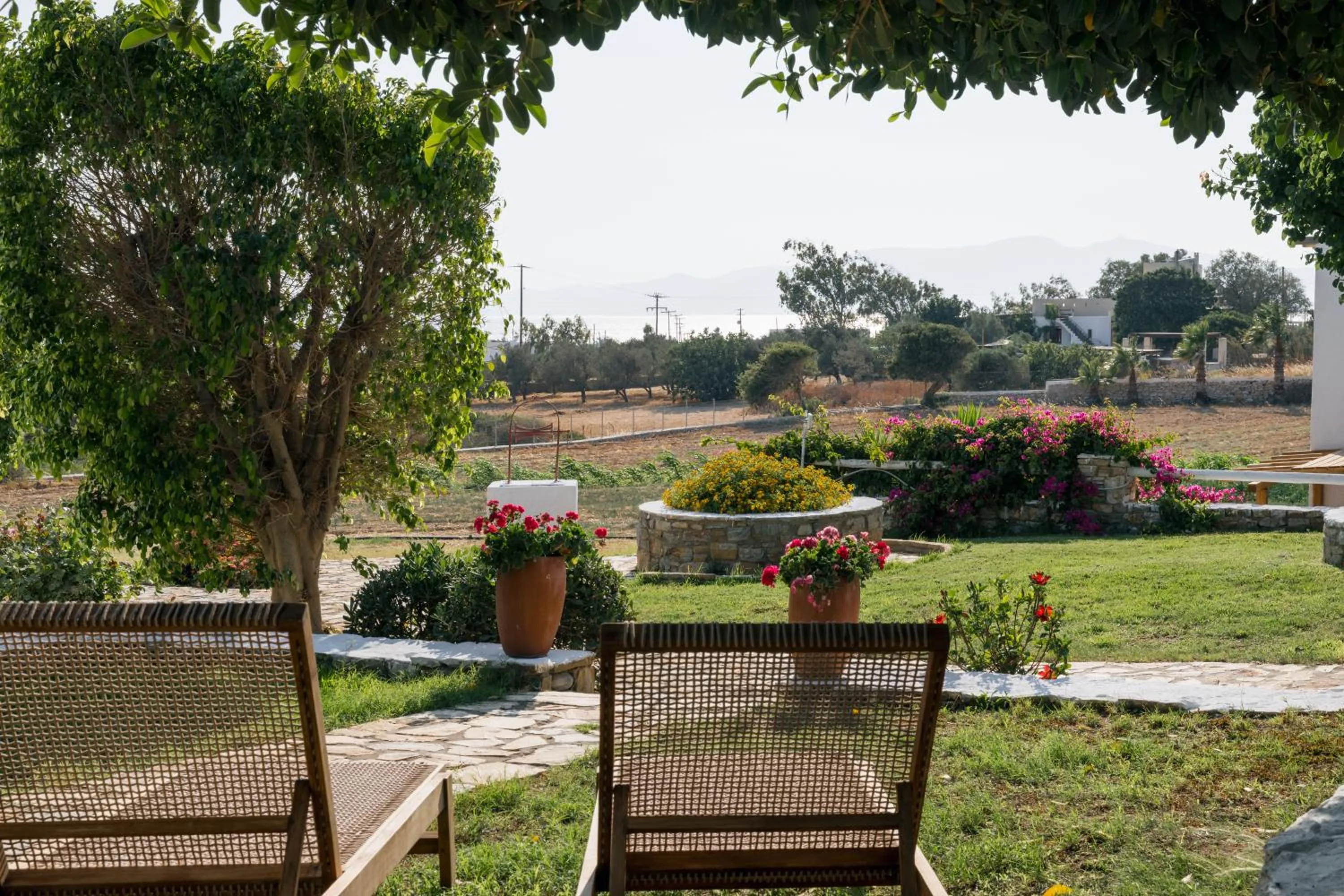 Garden view in Scala Apartments