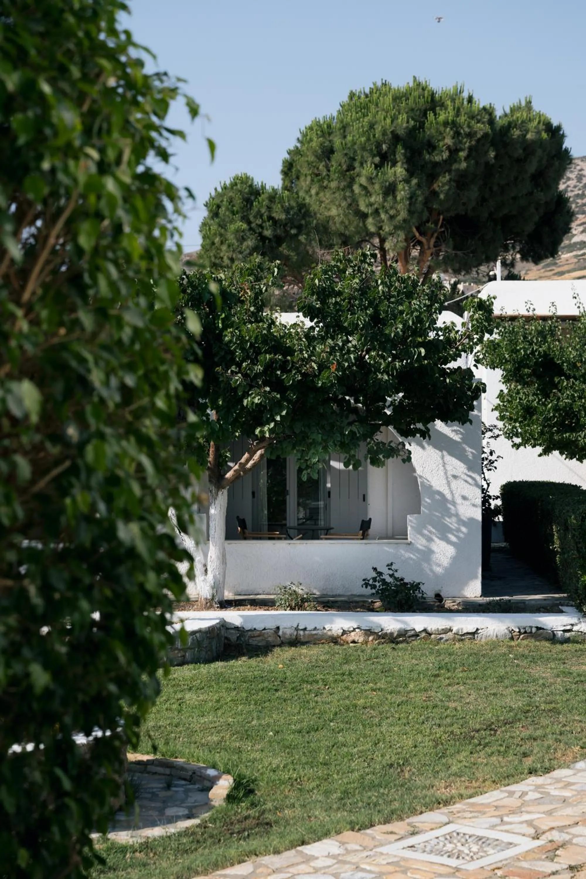 Property building in Scala Apartments