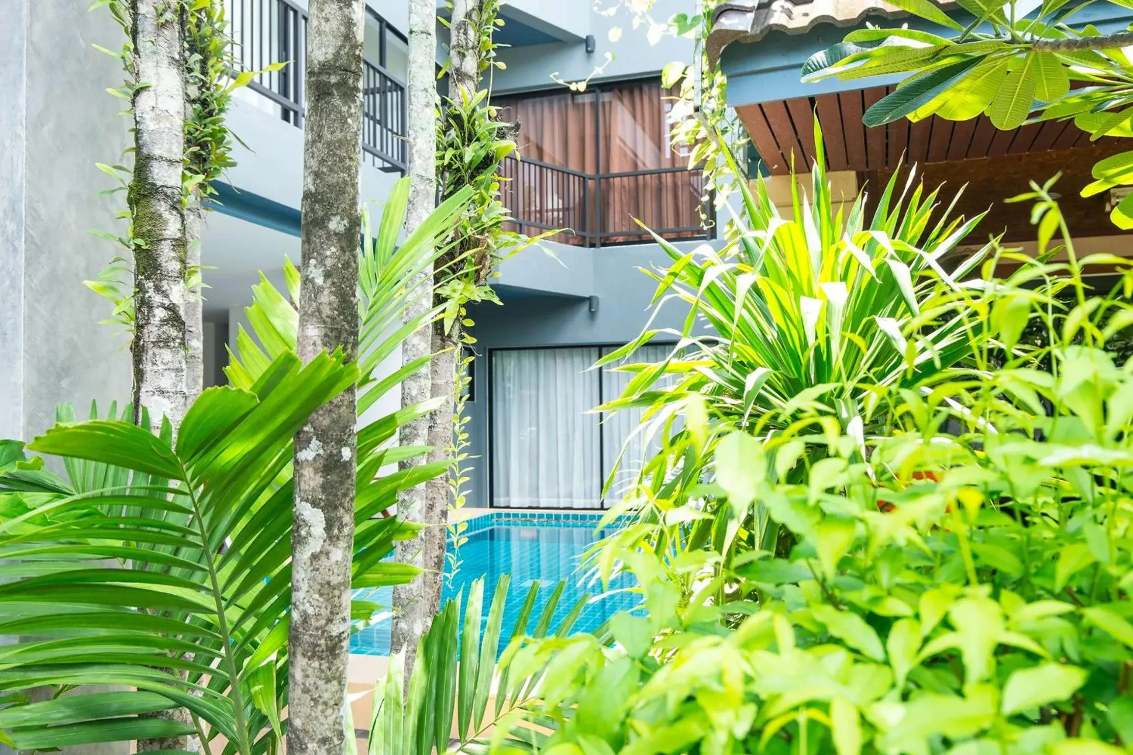Pool view in The Umbrella House Pool view in The Umbrella House