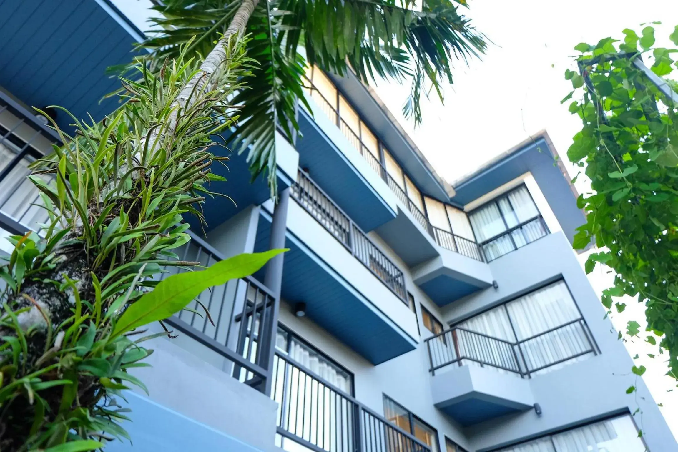 Facade/entrance in The Umbrella House Facade/entrance in The Umbrella House