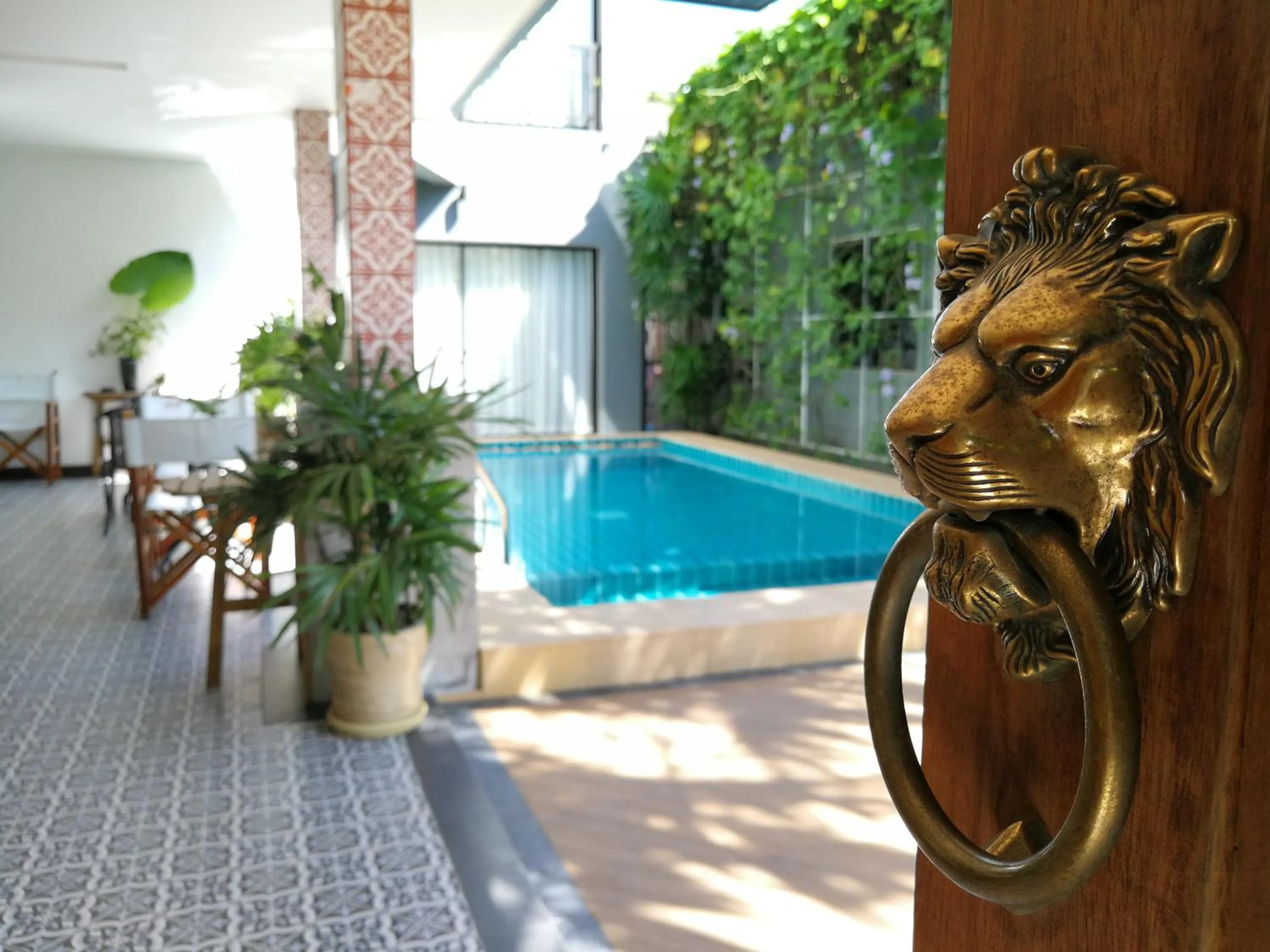 Swimming pool in The Umbrella House