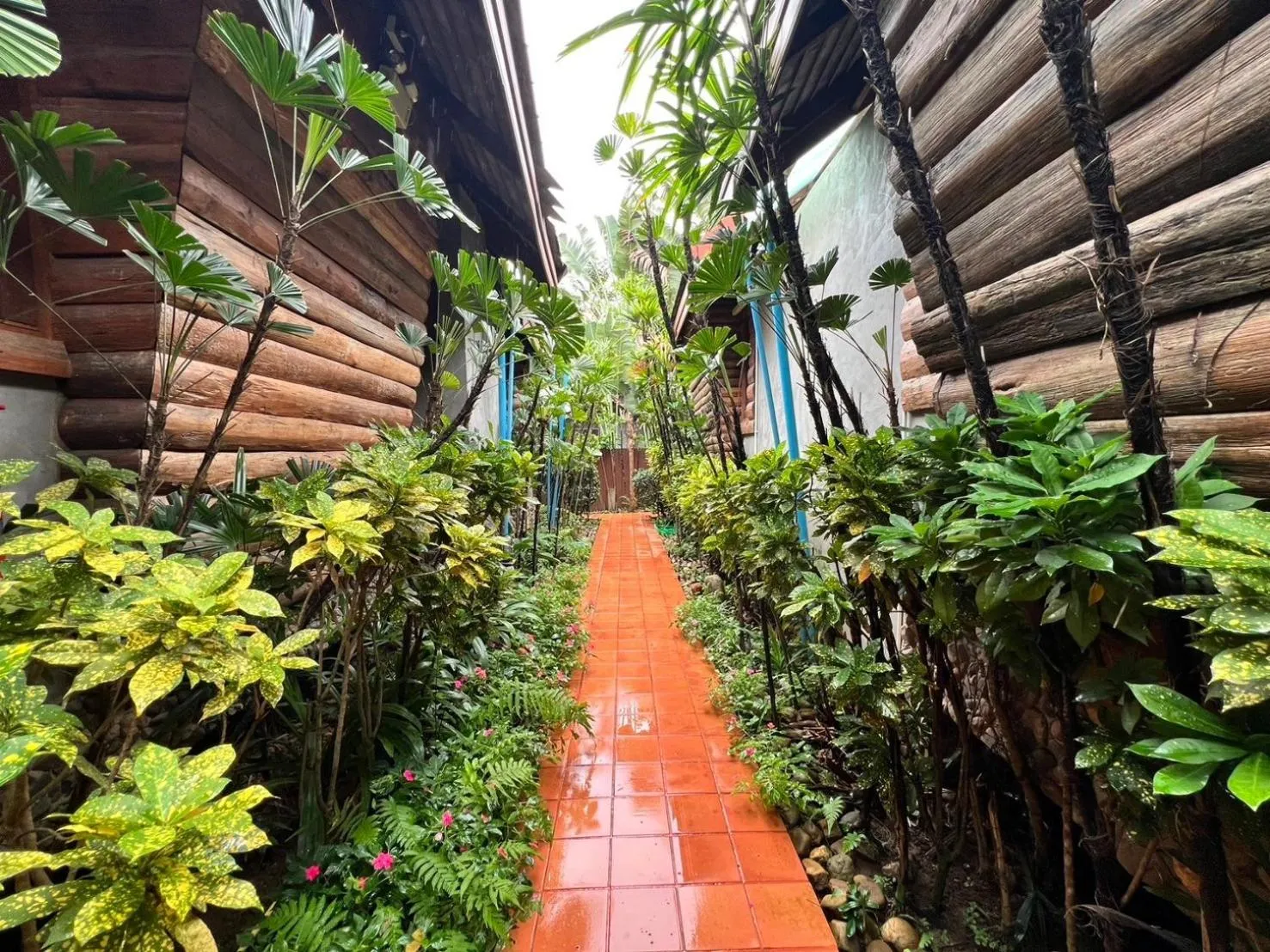 Garden in Yotaka@Pai