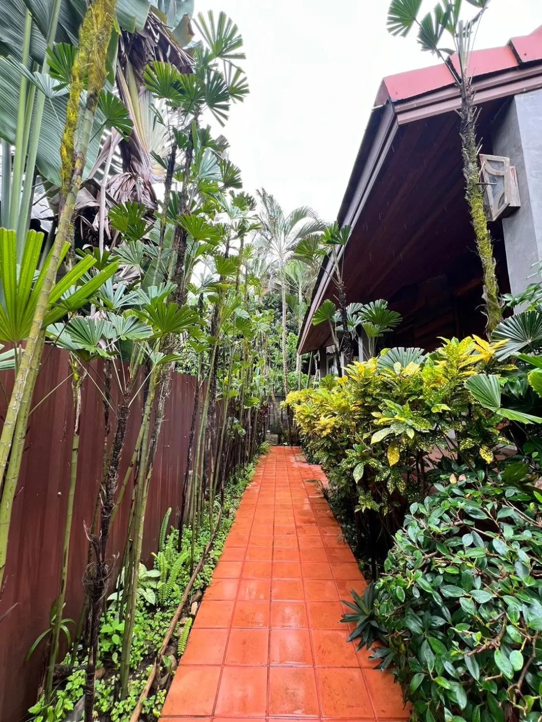 Garden in Yotaka@Pai