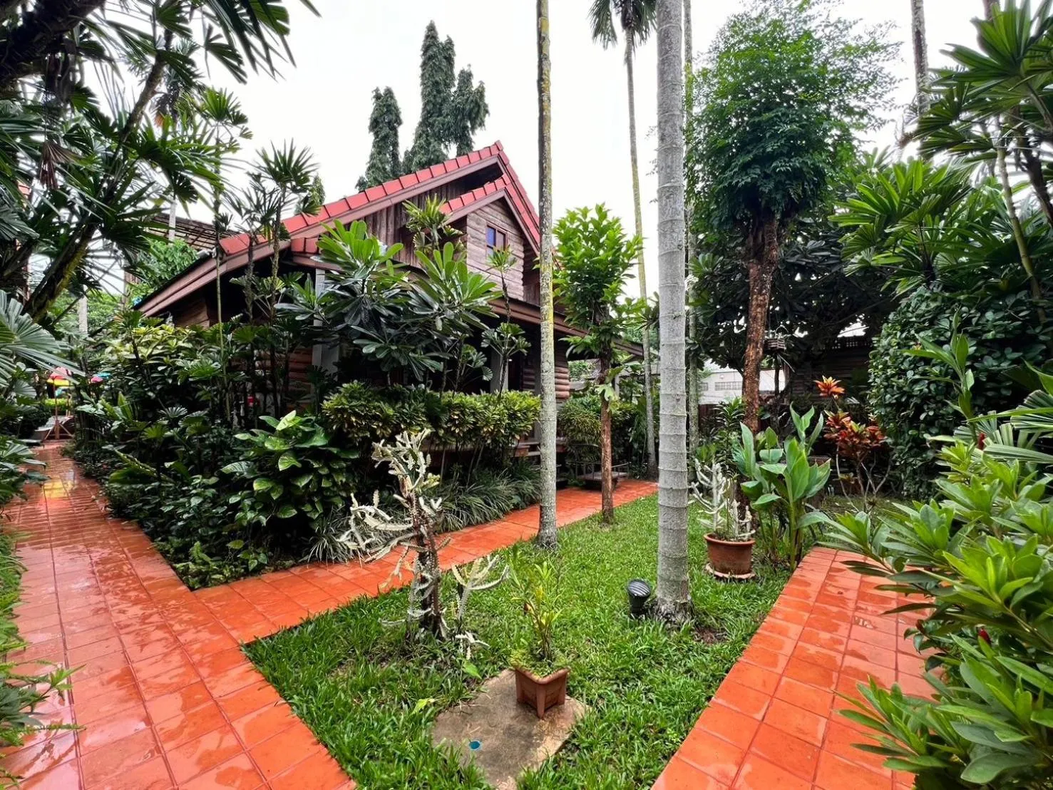 Garden in Yotaka@Pai