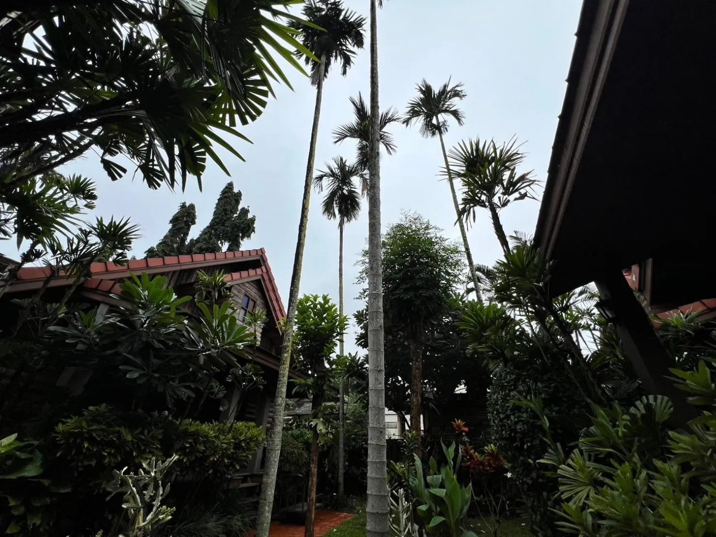 Garden view in Yotaka@Pai