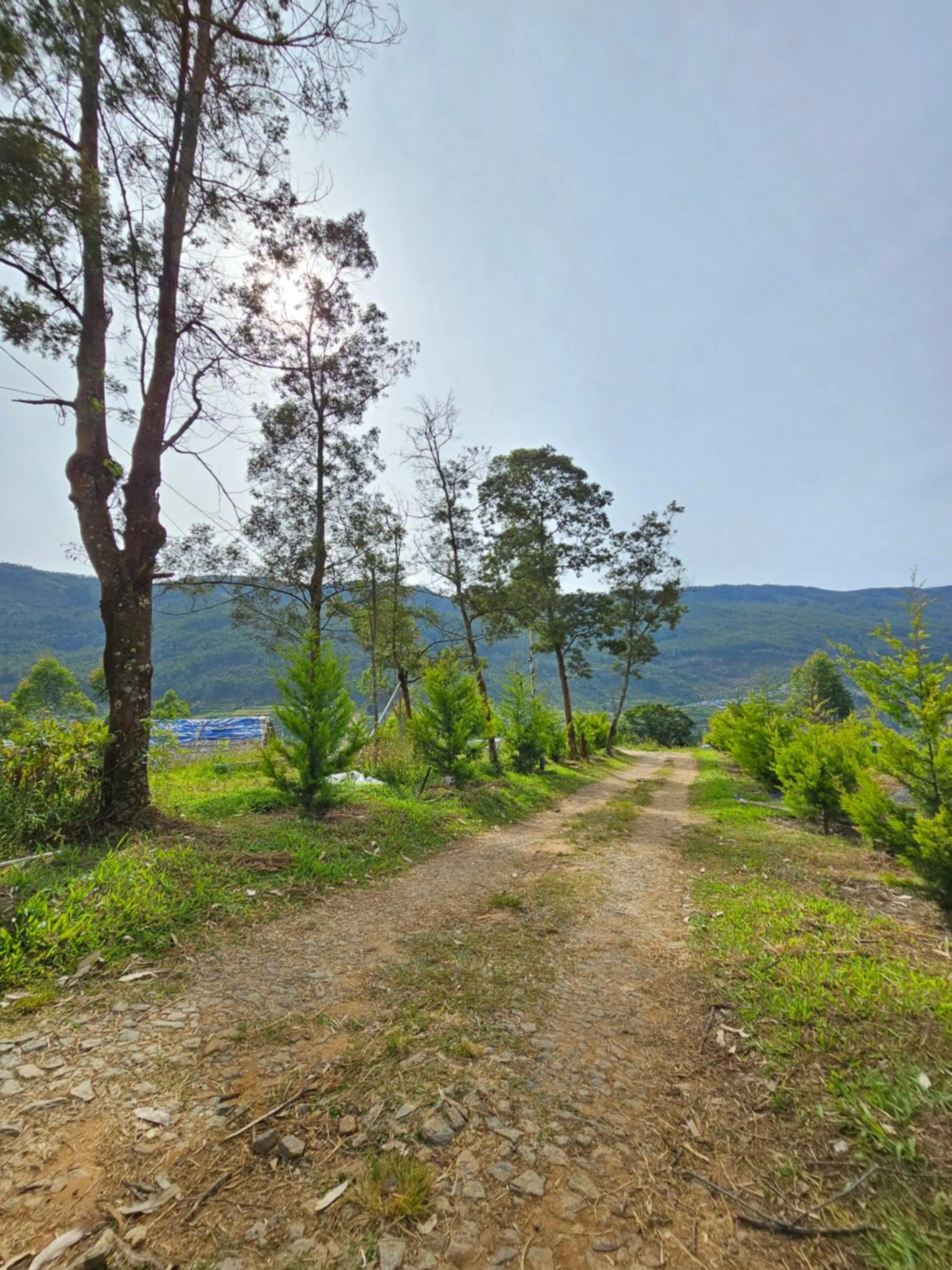 Natural landscape in NATURE CASTLE -Traditional villa,Vattavada