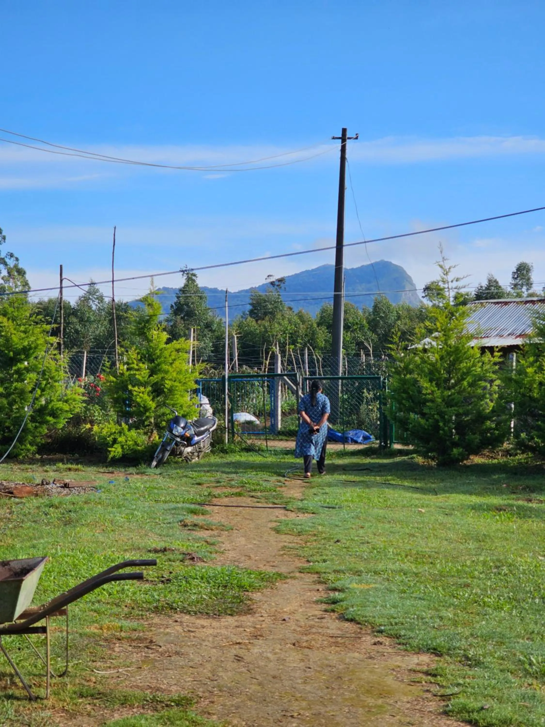 Natural landscape in NATURE CASTLE -Traditional villa,Vattavada