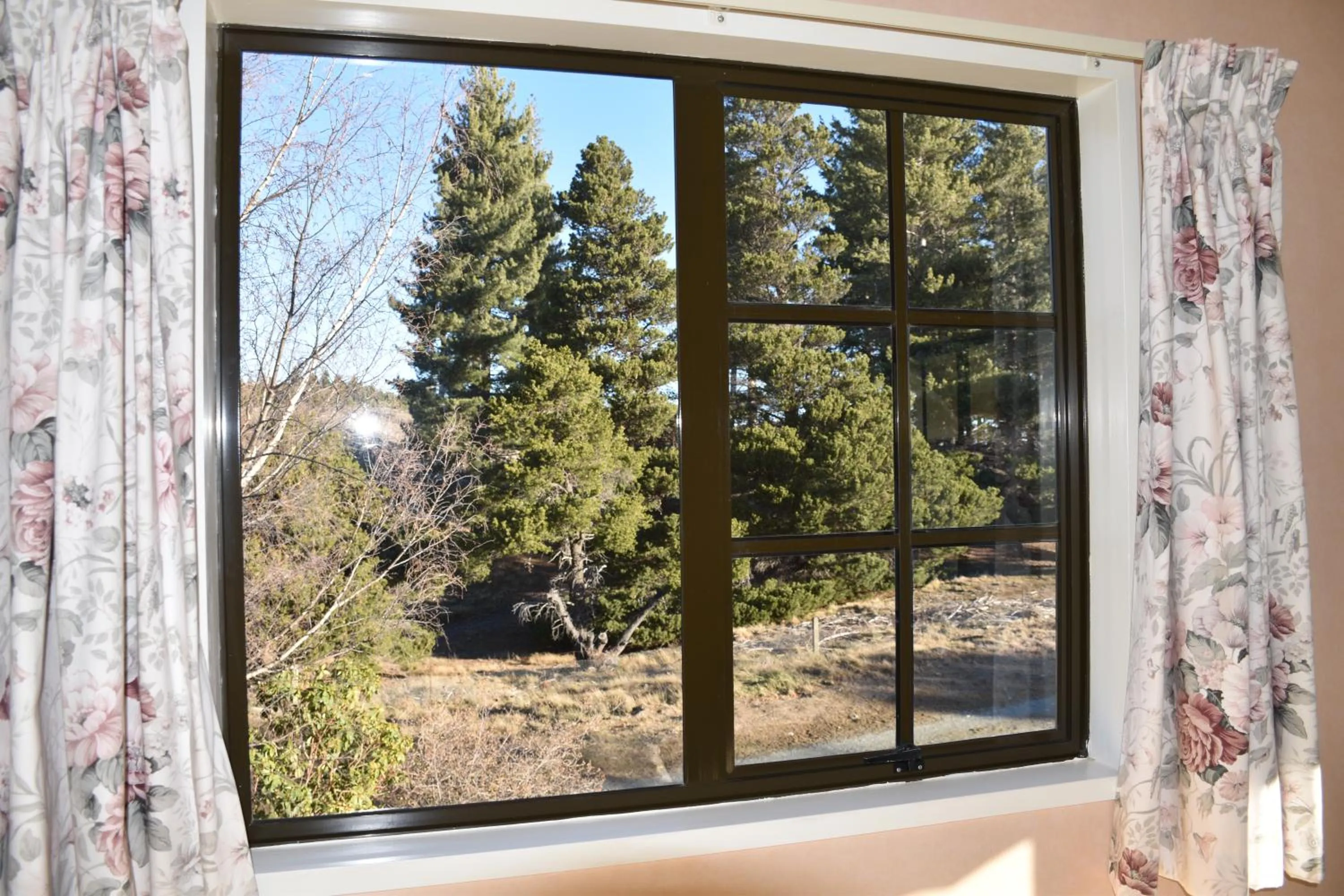 View (from property/room) in Creel House Bed and Breakfast