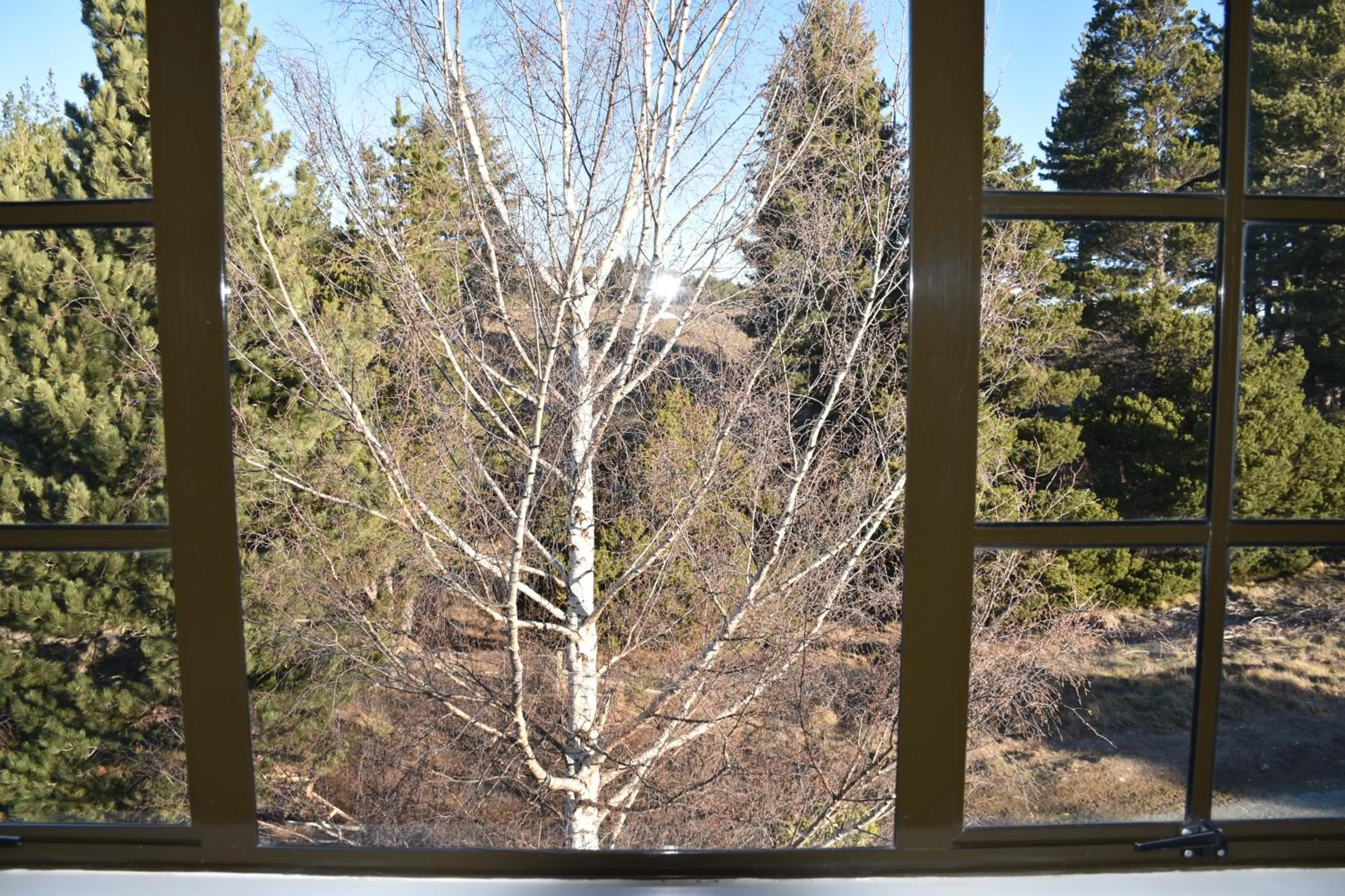 View (from property/room) in Creel House Bed and Breakfast