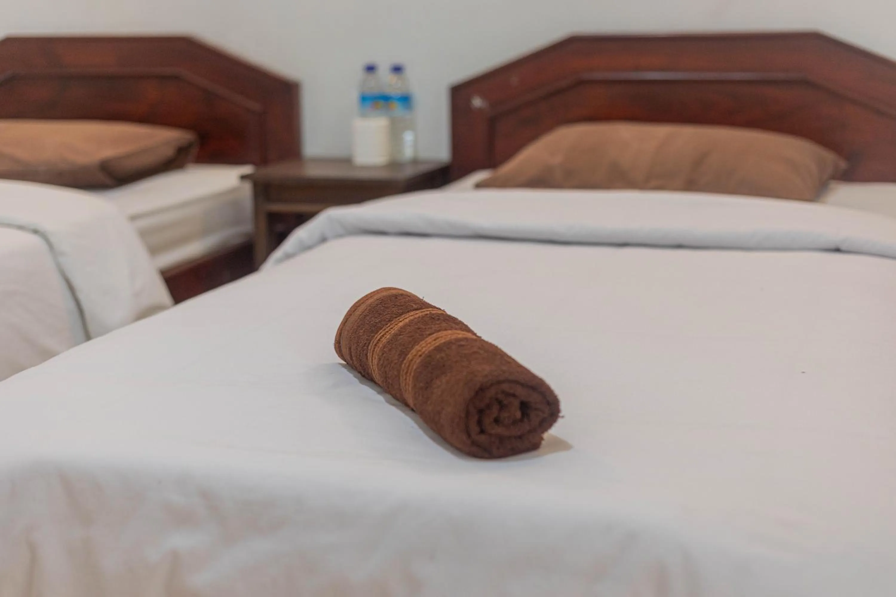 Bed in Transit Inn Senggigi