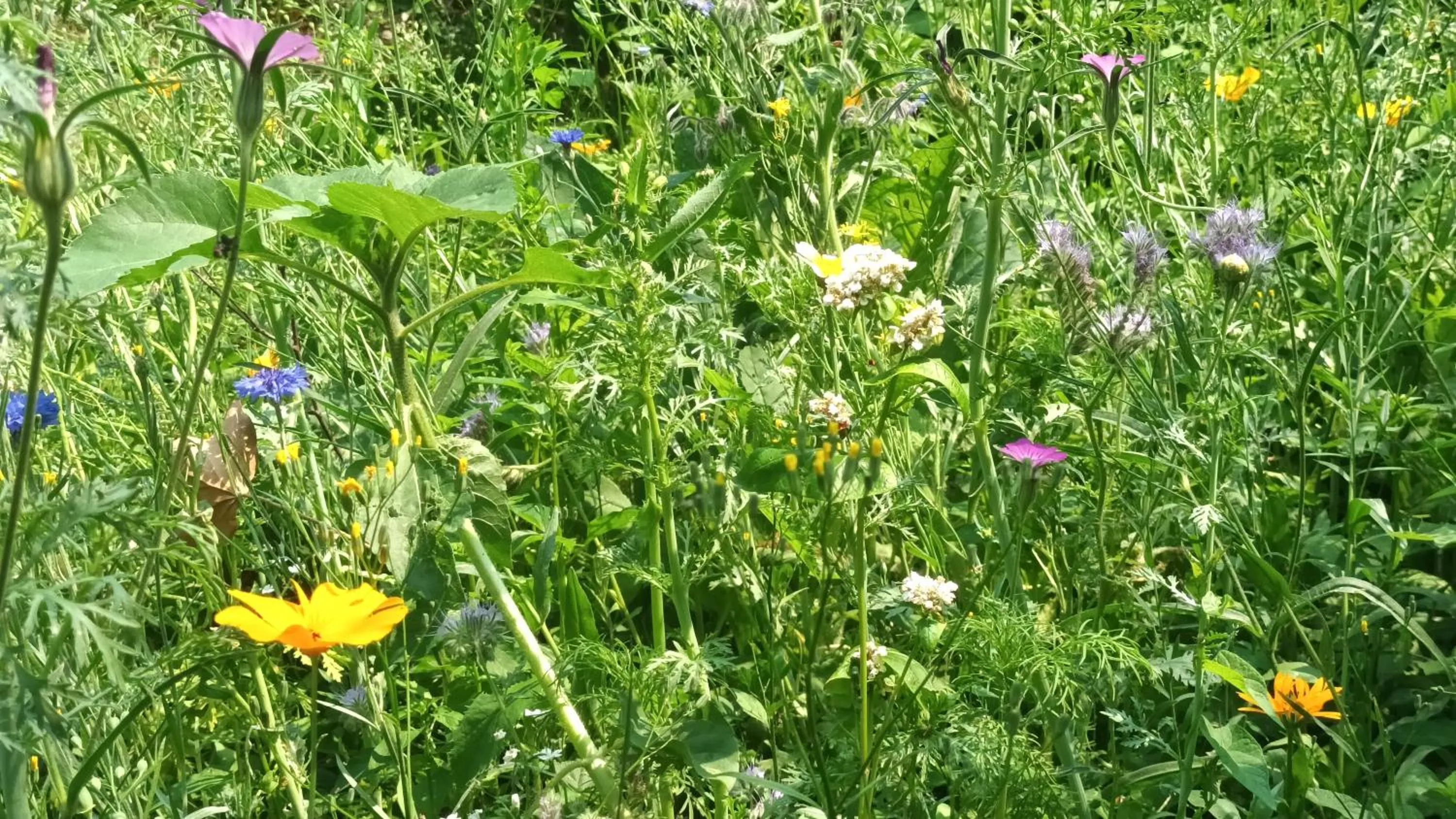 View (from property/room) in B&B Houtstee