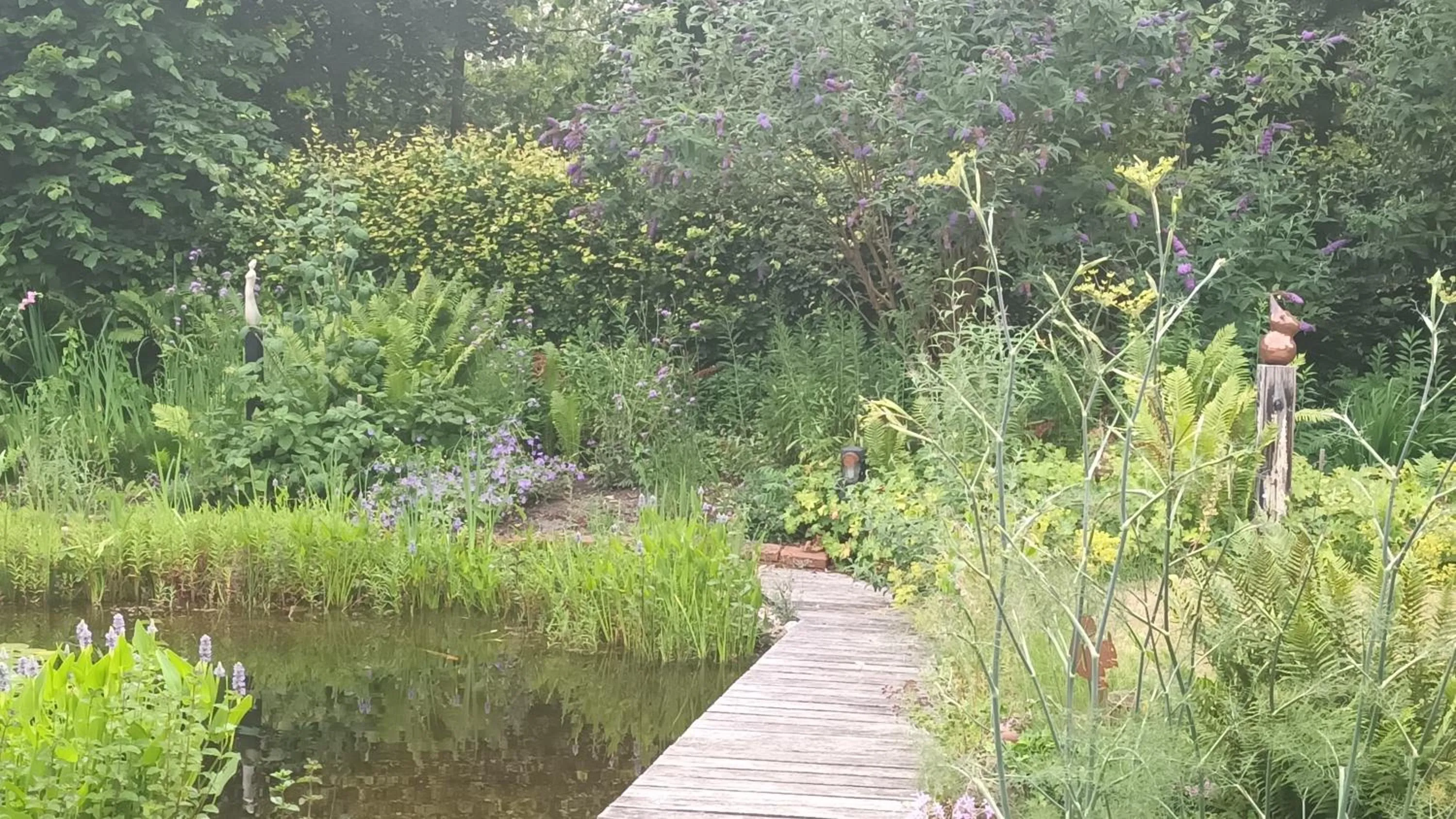 View (from property/room) in B&B Houtstee