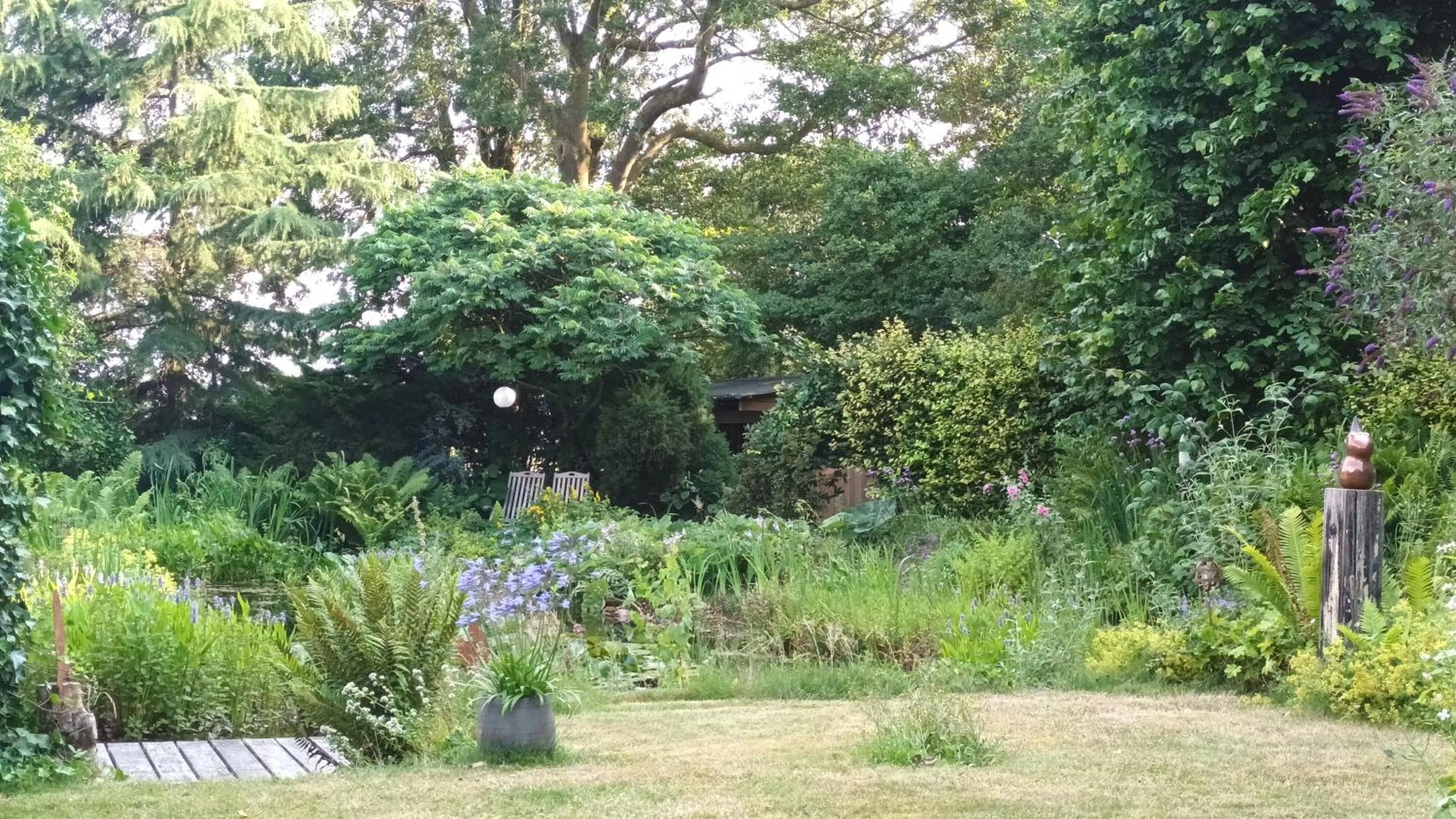 View (from property/room) in B&B Houtstee