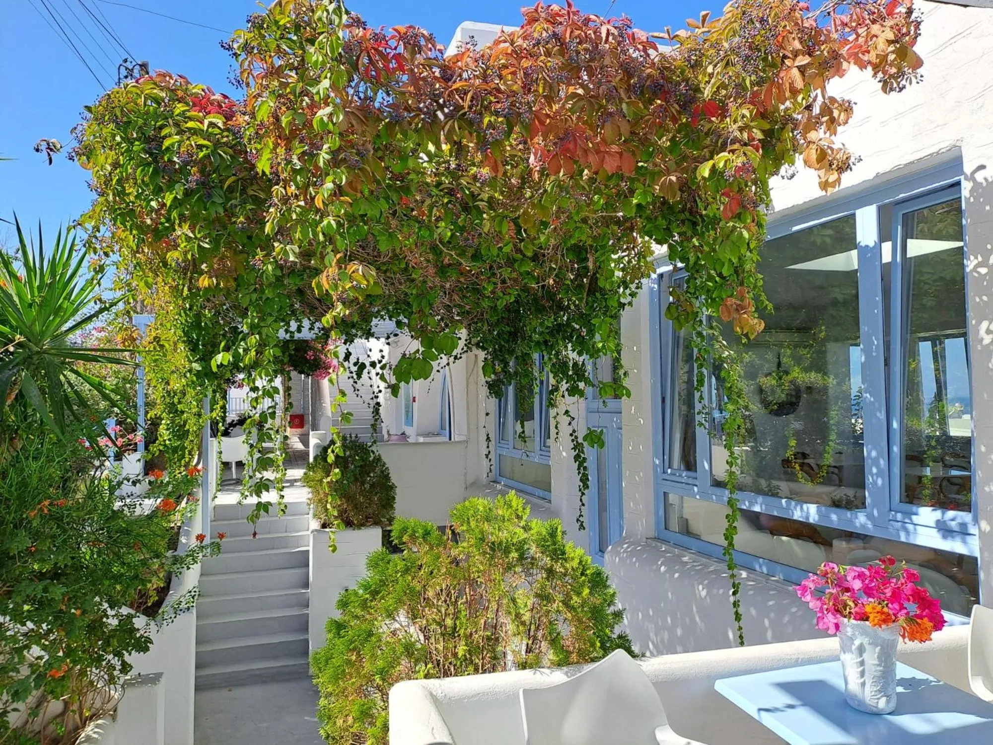 Garden in Stratos Apartments & Studios