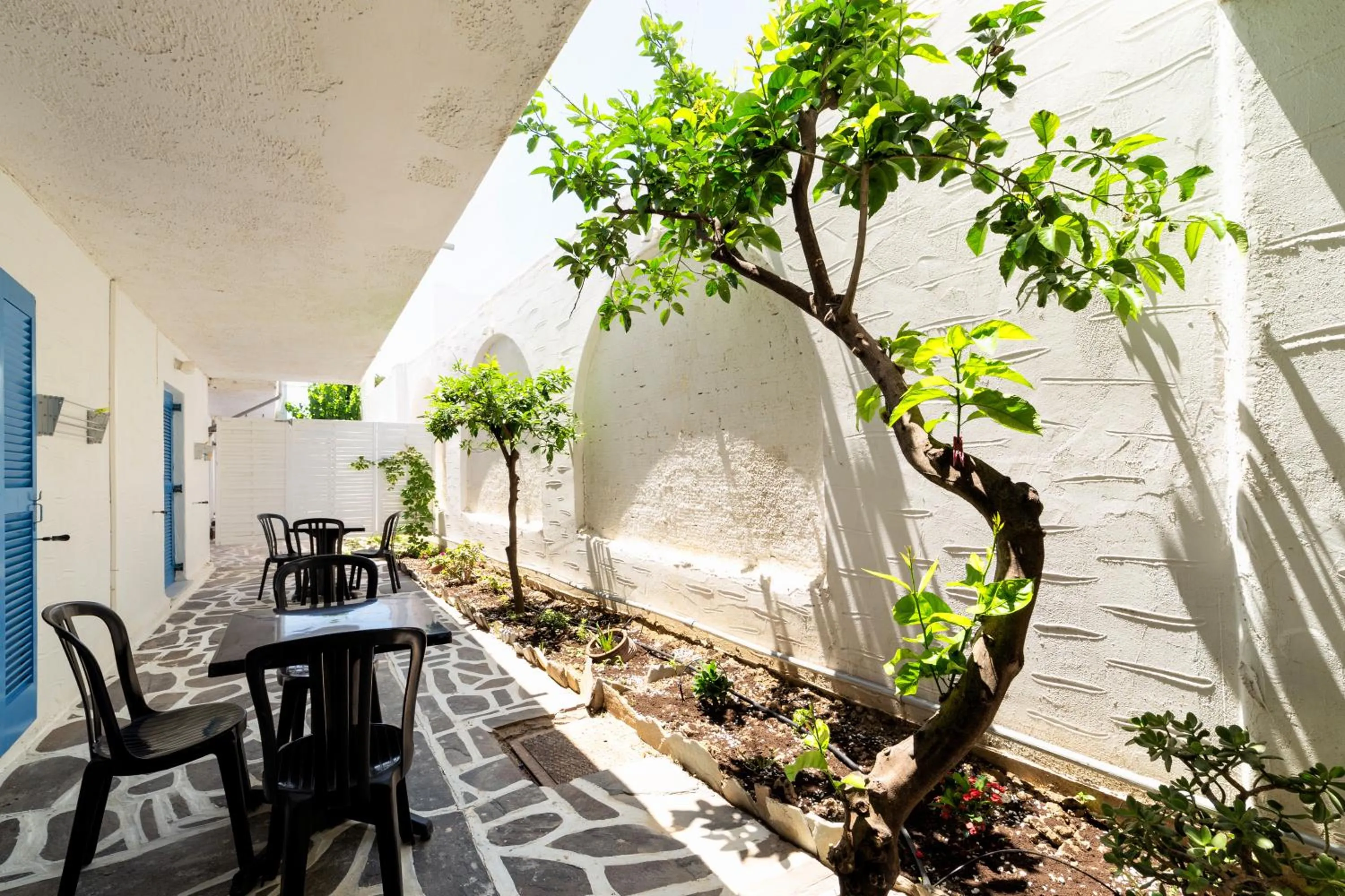 Garden in Stratos Apartments & Studios