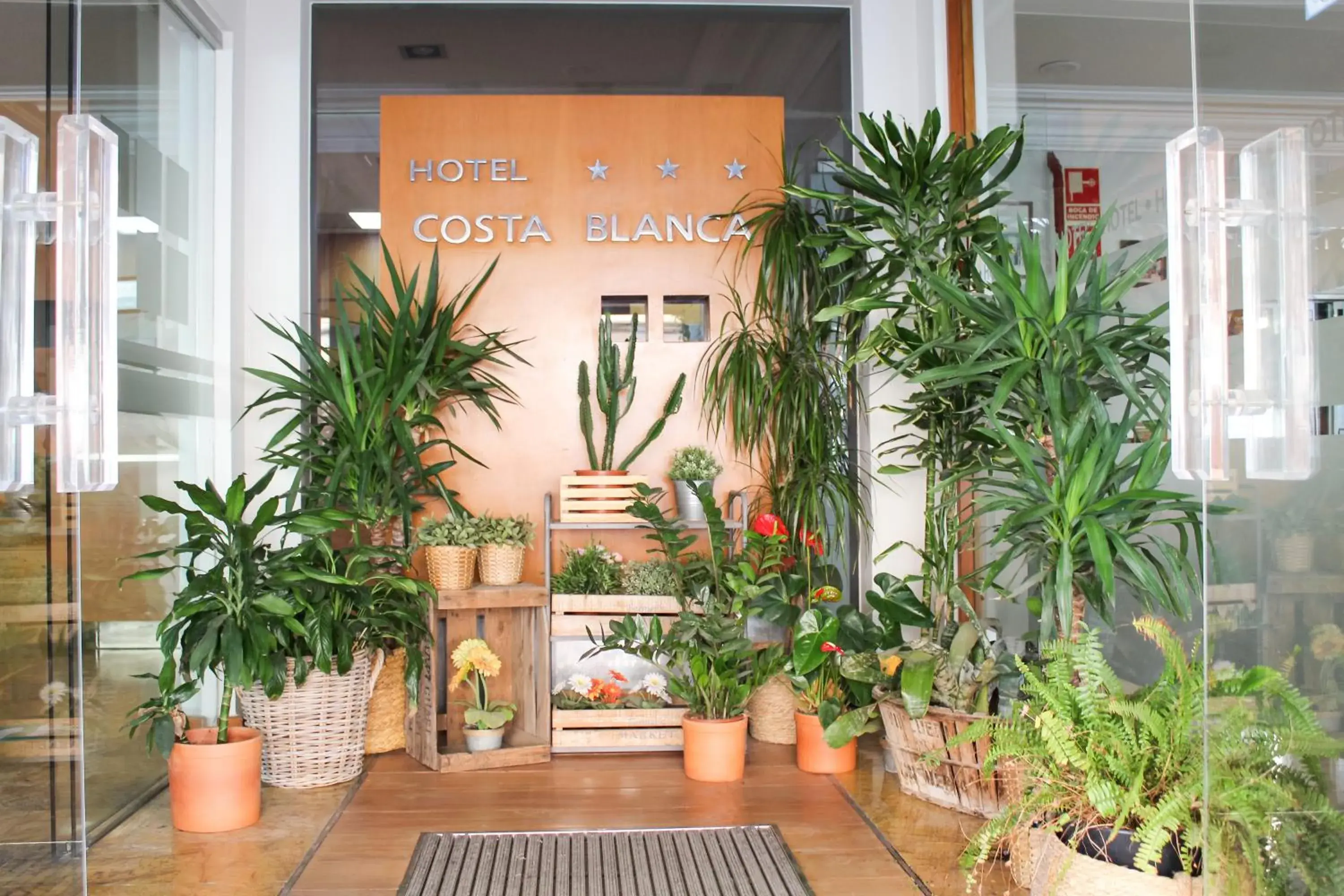 Lobby or reception in Hotel MR Costa Blanca Lobby or reception in Hotel MR Costa Blanca