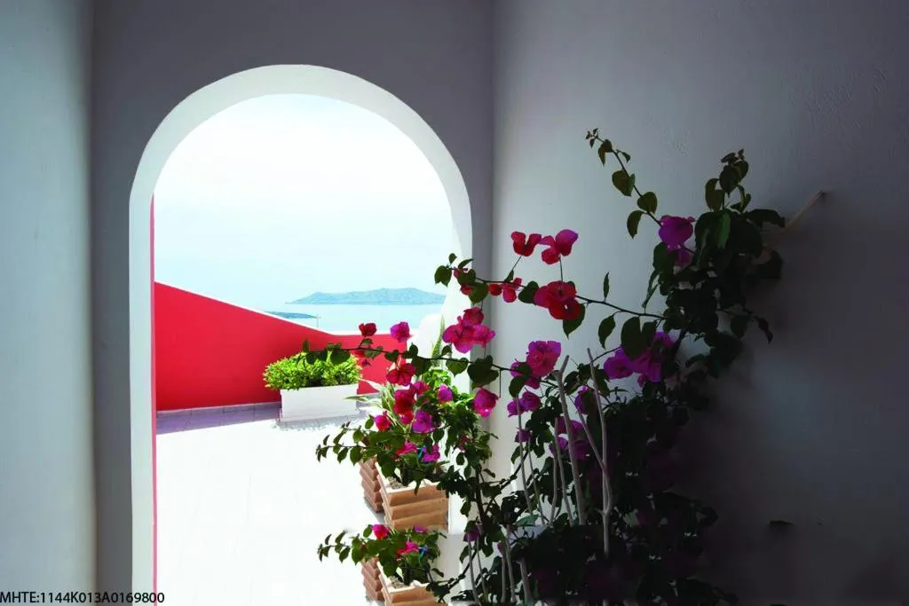 Balcony/Terrace in Theoxenia Caldera Hotel