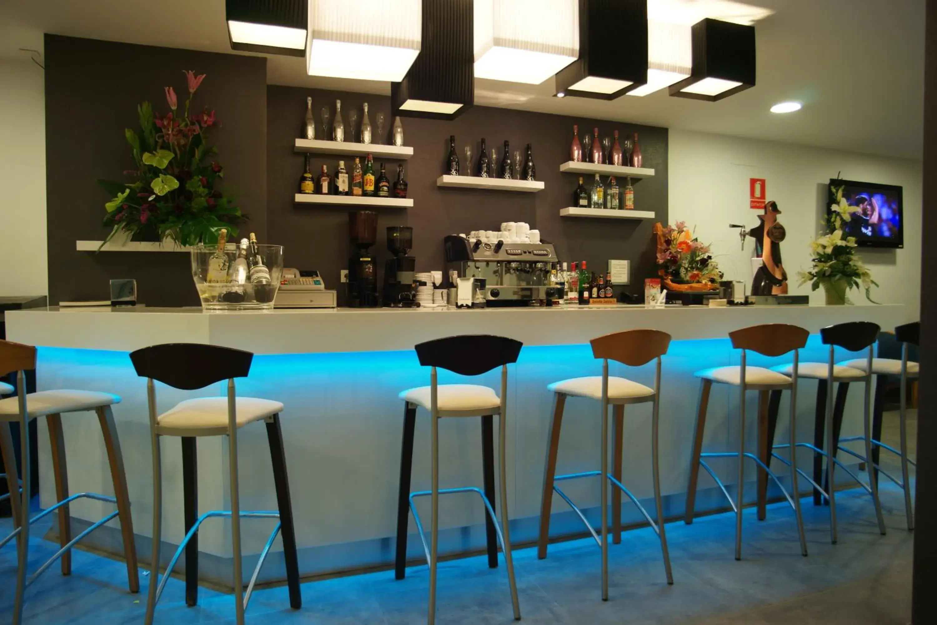 Lounge or bar in Hotel Golden Lounge or bar in Hotel Golden