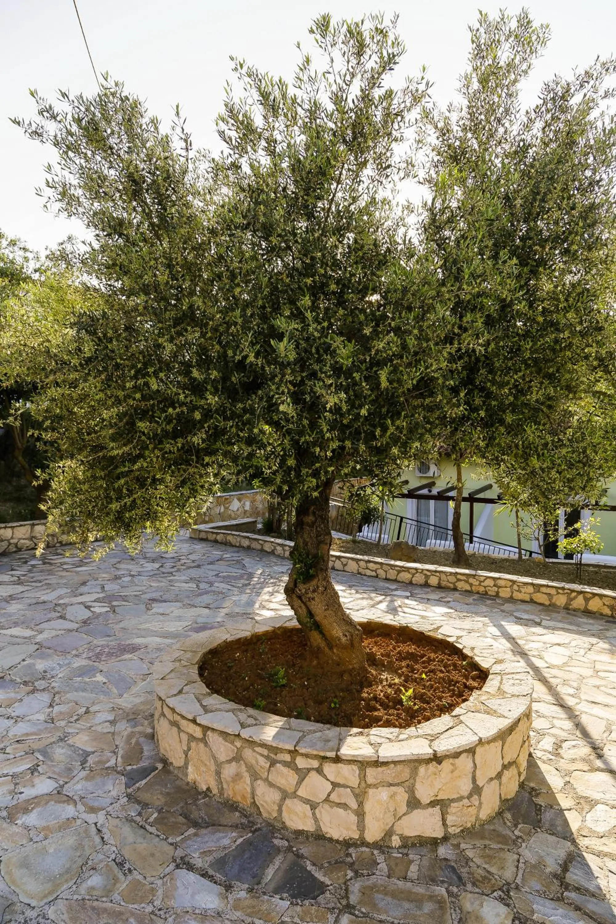 Garden in Seaview Apartments Tsilivi