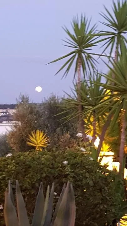 Seaview Apartments Tsilivi