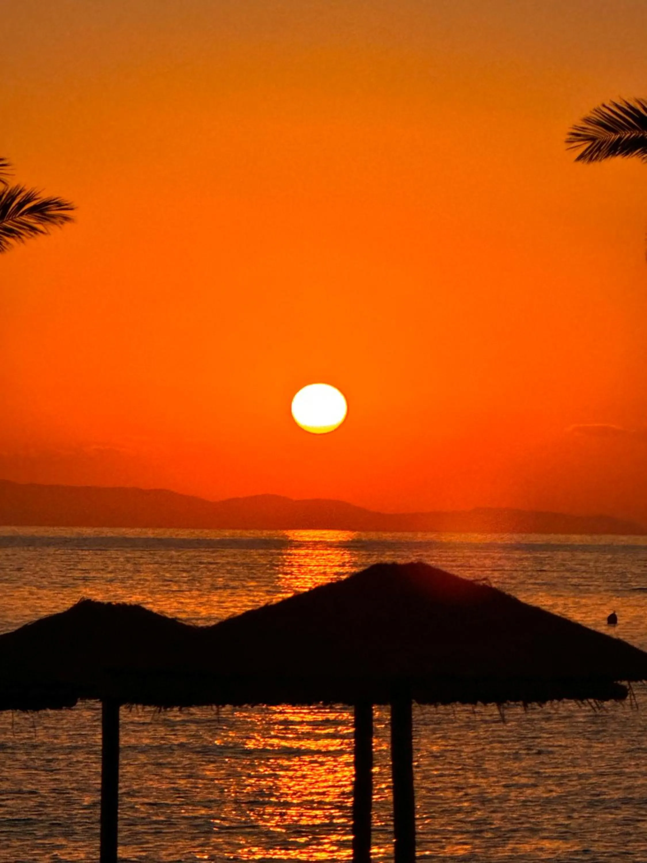 Sunset in Blue Harmony Hotel