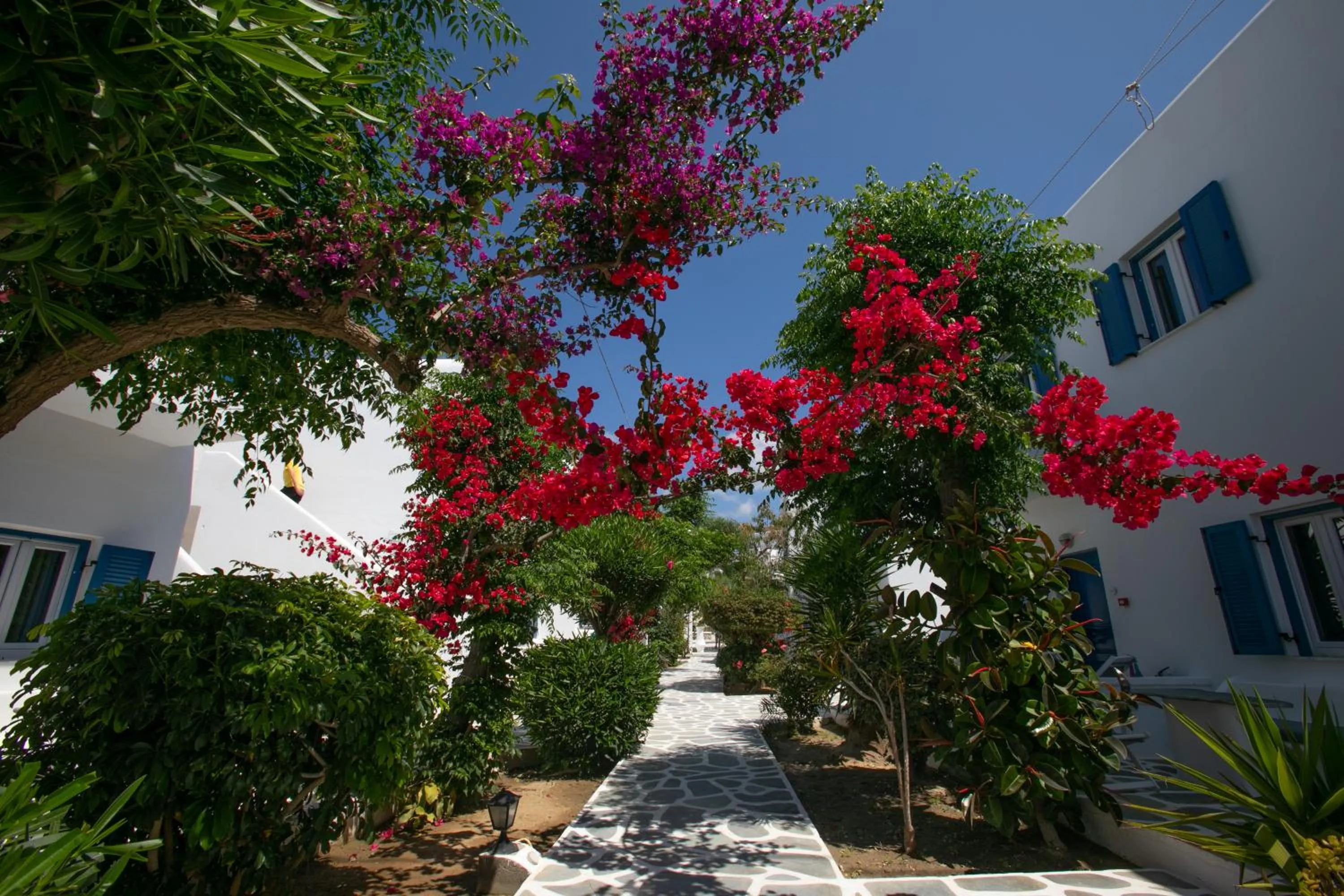 Garden in Acrogiali Beachfront Hotel Mykonos