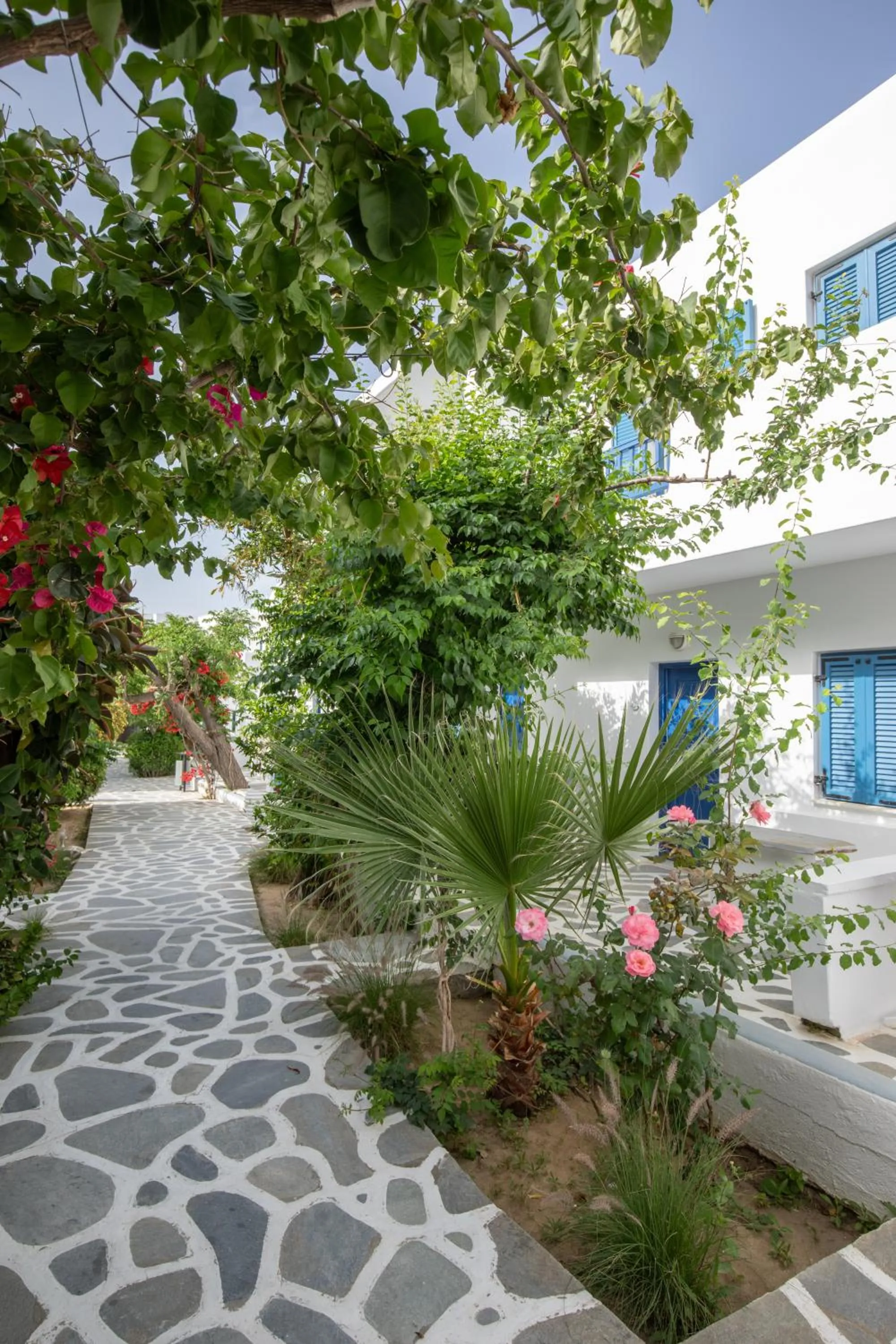 Garden in Acrogiali Beachfront Hotel Mykonos