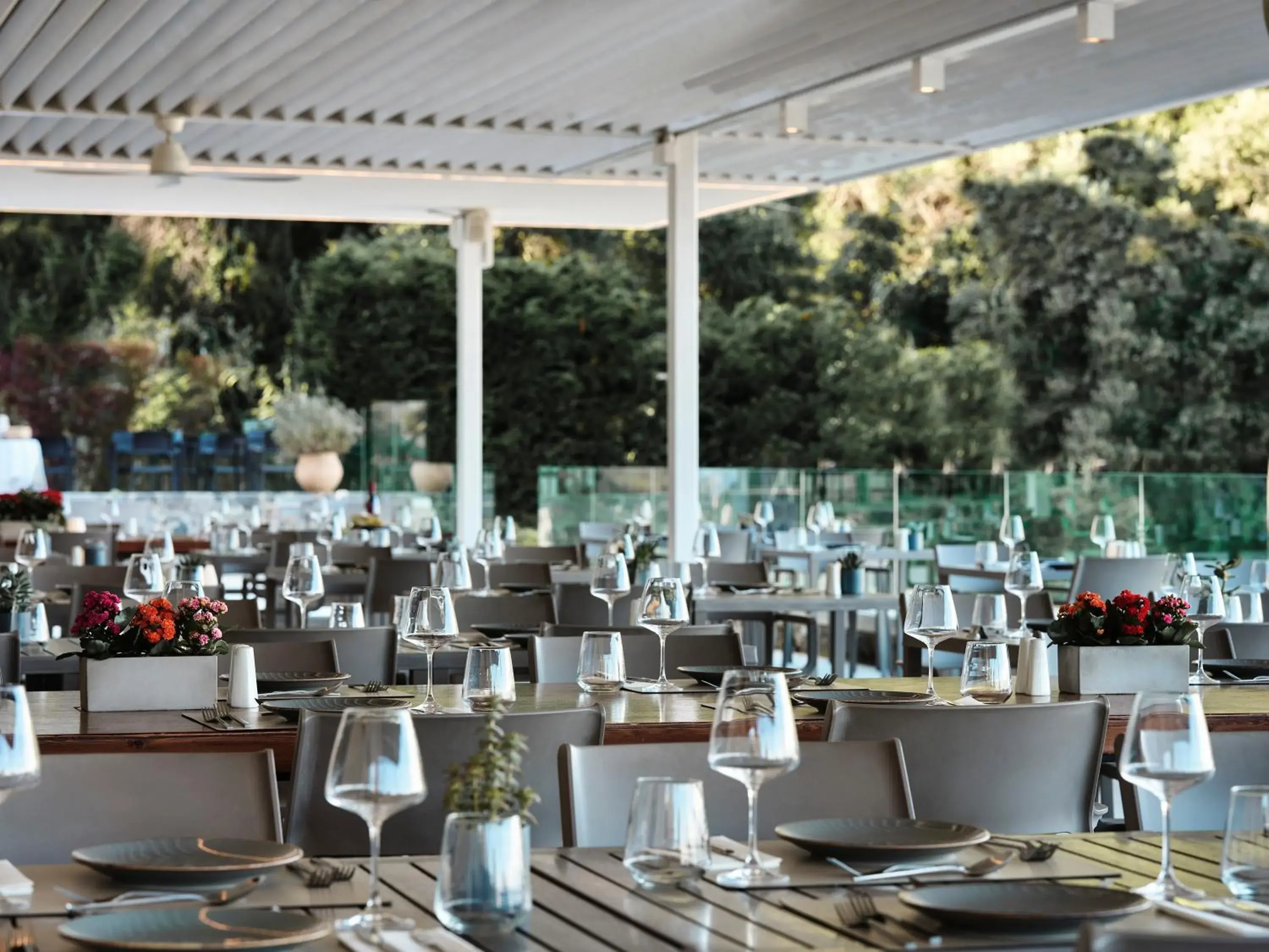 Restaurant/places to eat in Aeolos Beach Resort Restaurant/places to eat in Aeolos Beach Resort