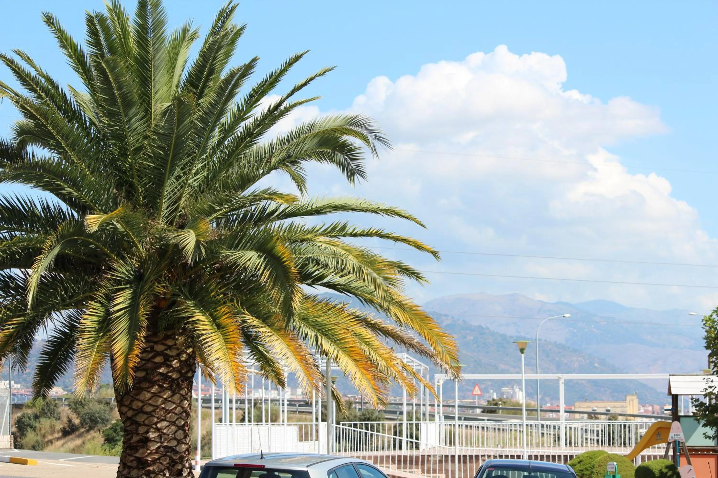 Off site in Hotel Azar