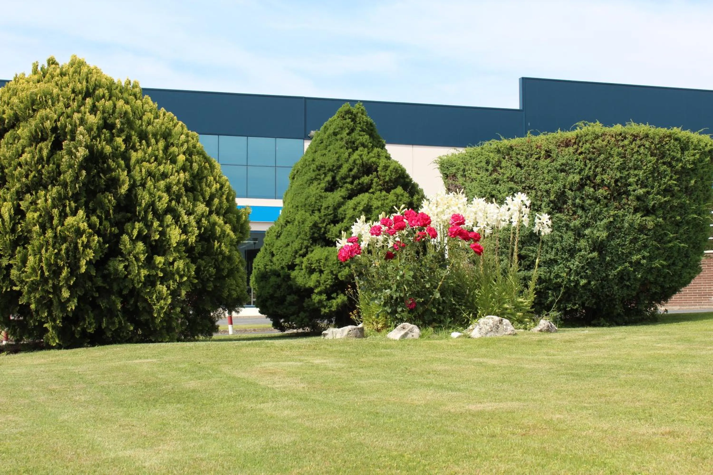 Garden in Hotel Azar