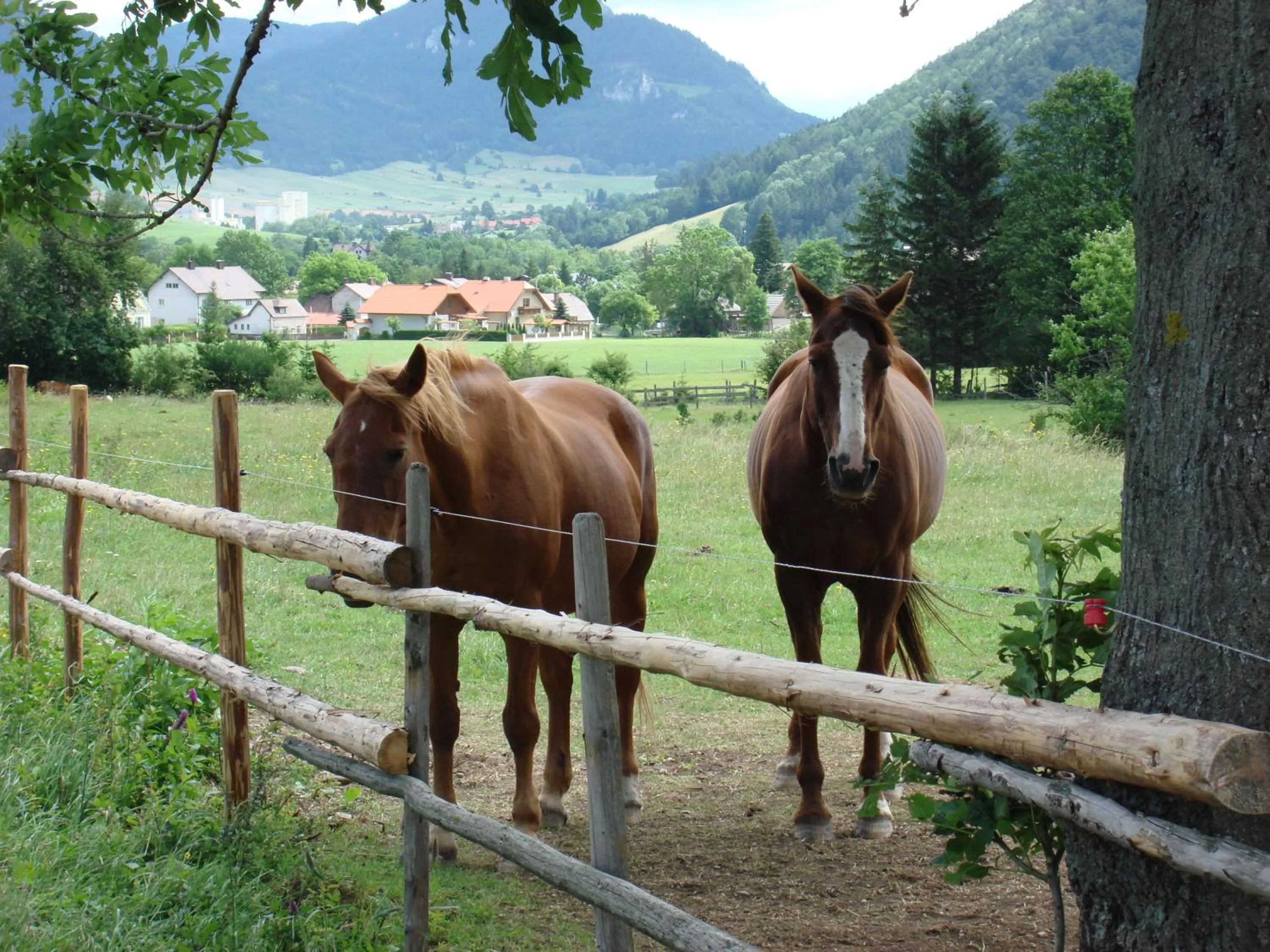 Hiking in Hotel Paradiesquelle