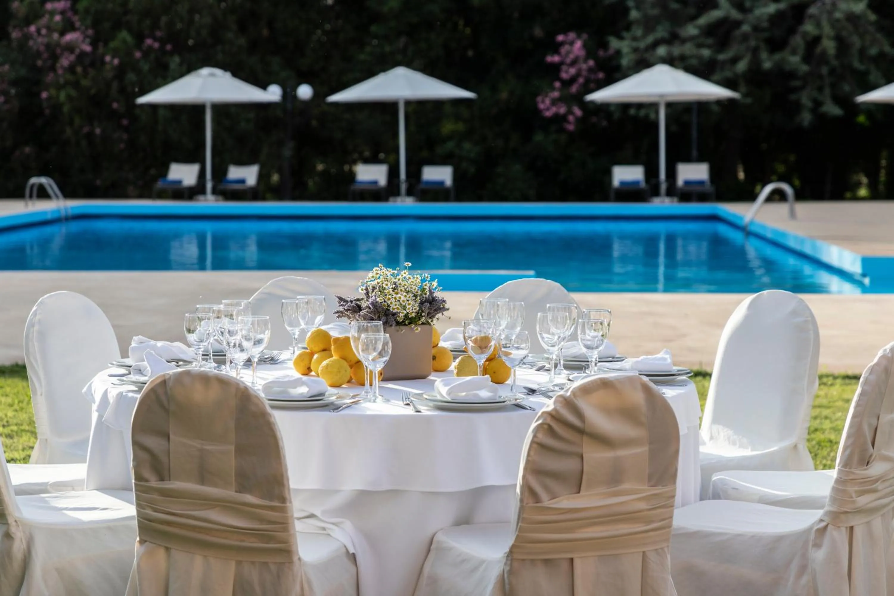 Swimming pool in Amalia Hotel Meteora