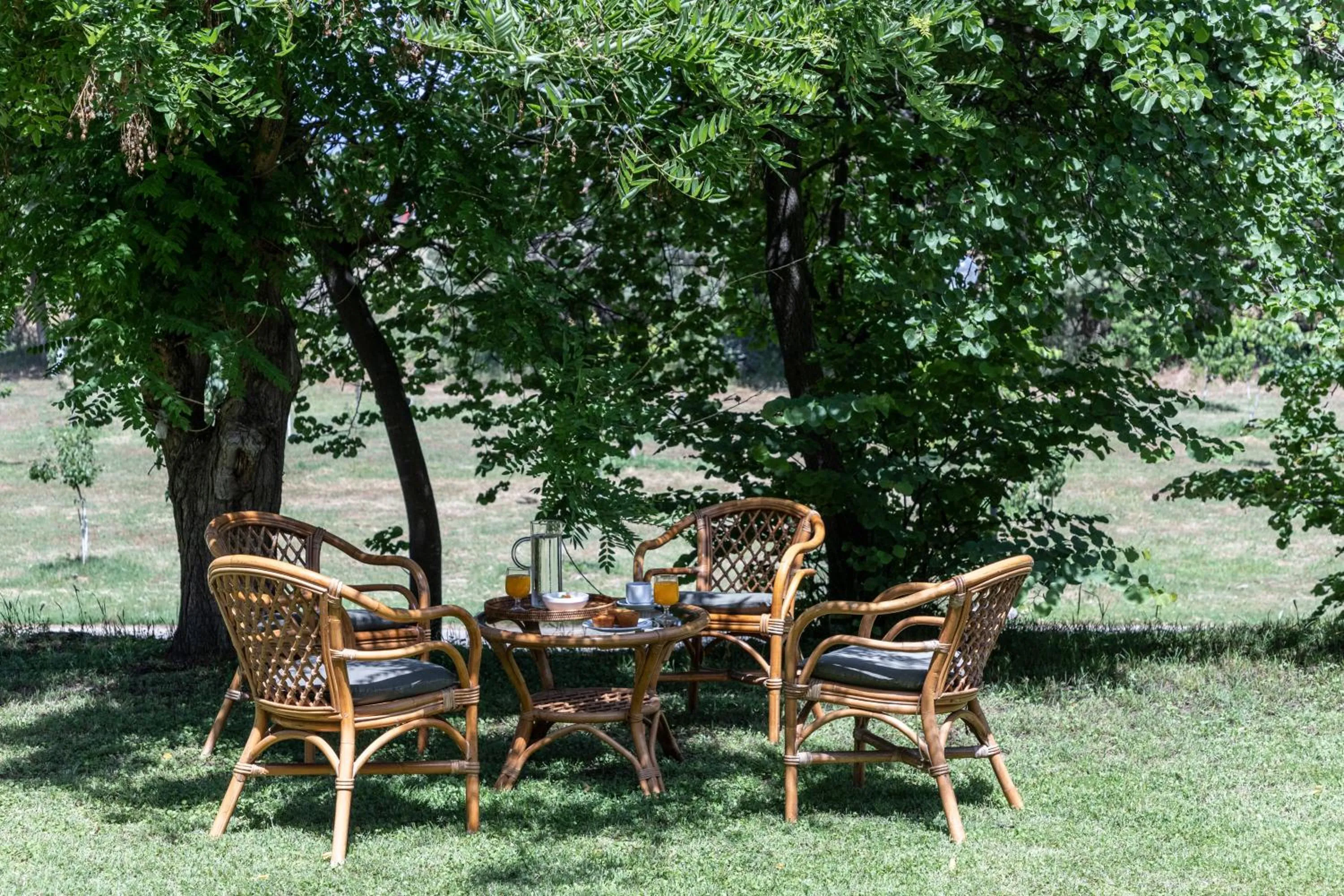 Garden in Amalia Hotel Meteora