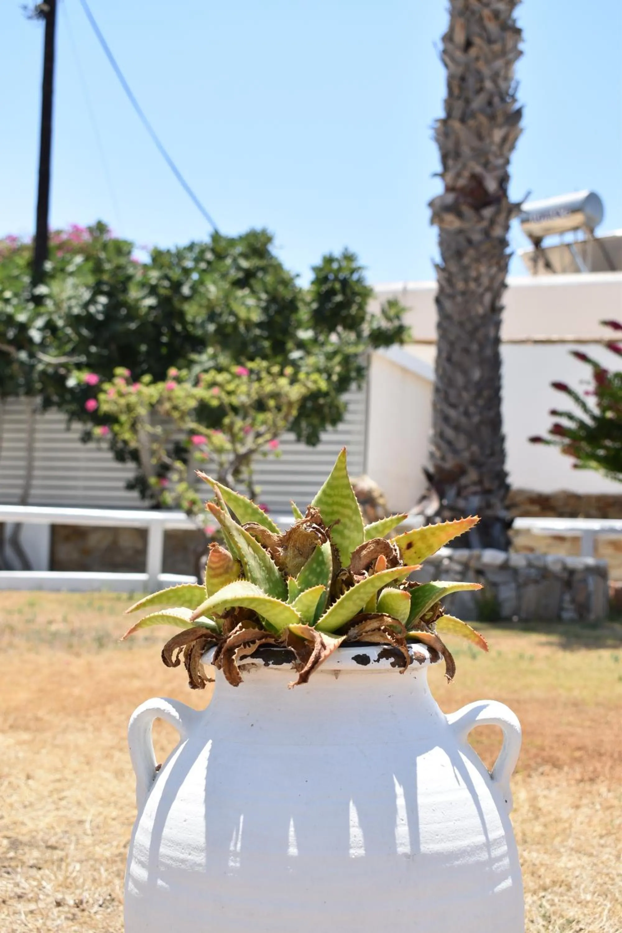 Area and facilities in Hotel Aegeon