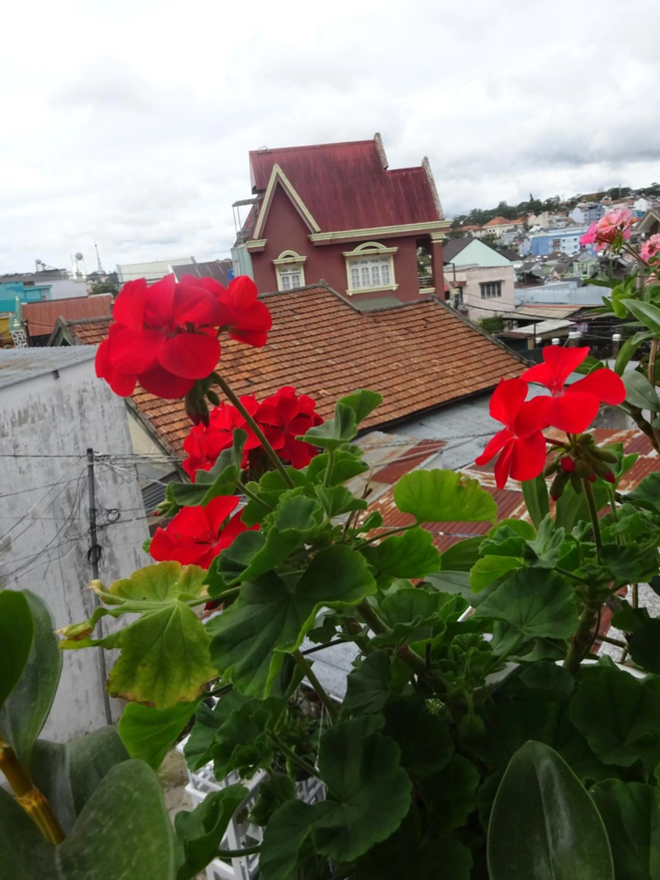 Property building in Blue Sky Homestay