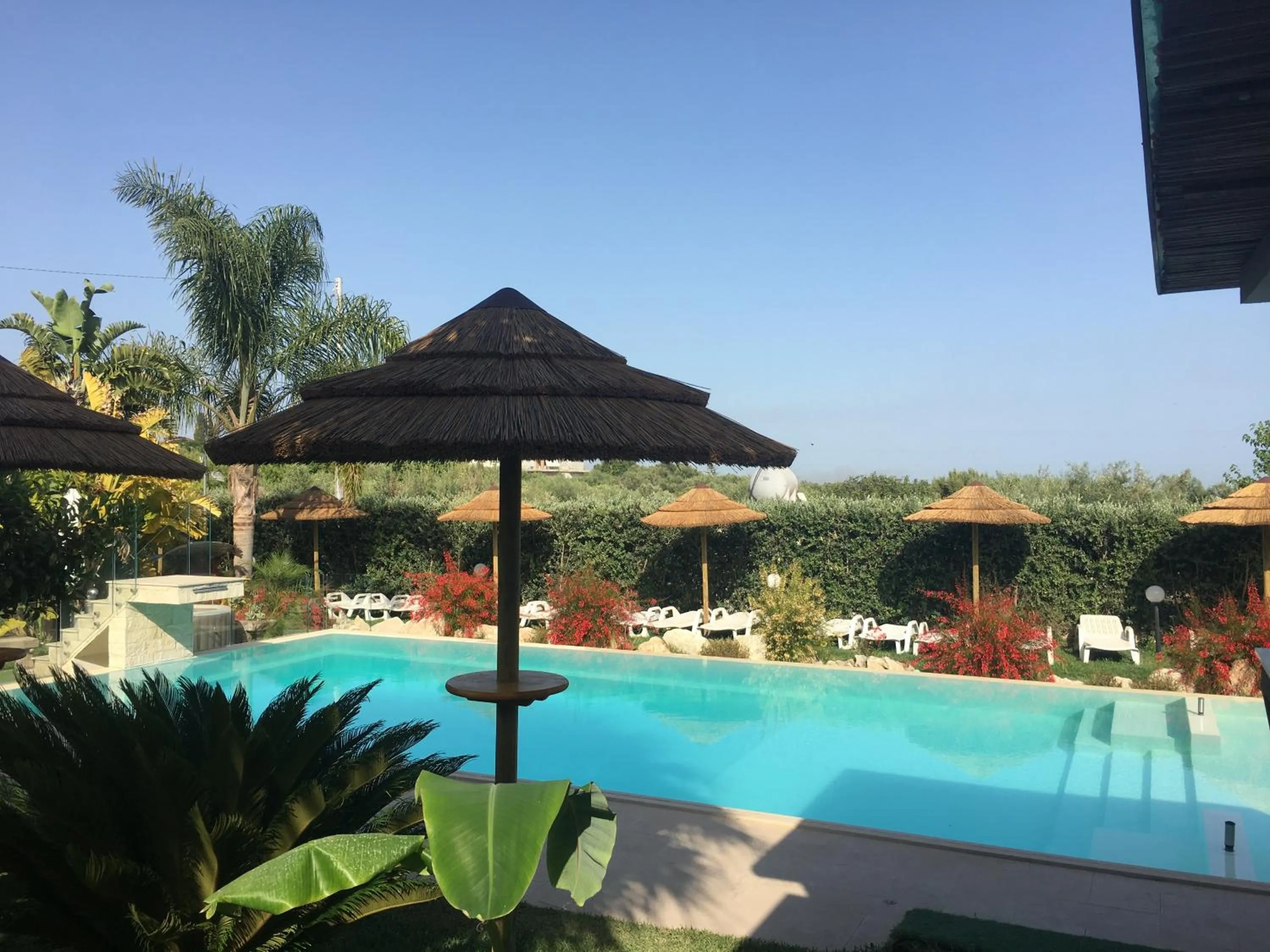 Pool view in Saija Resort