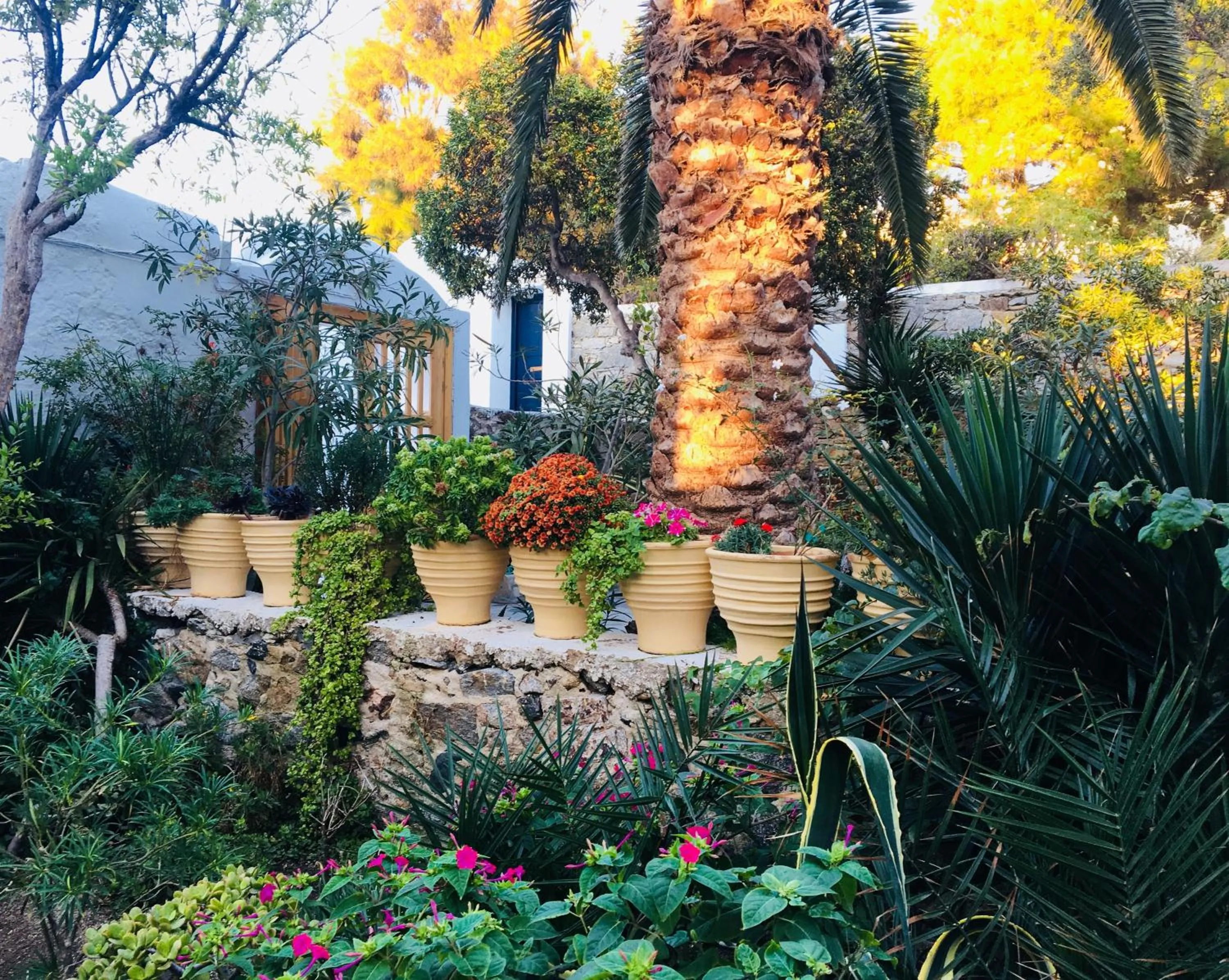 Garden in Matina Hotel