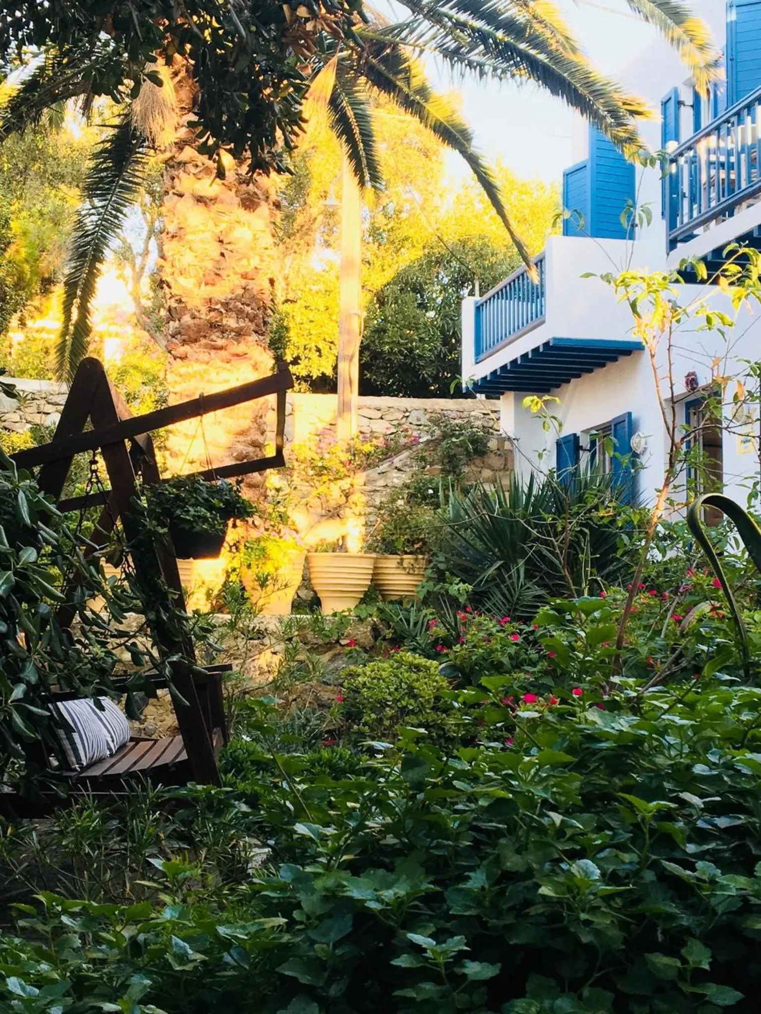 Garden in Matina Hotel