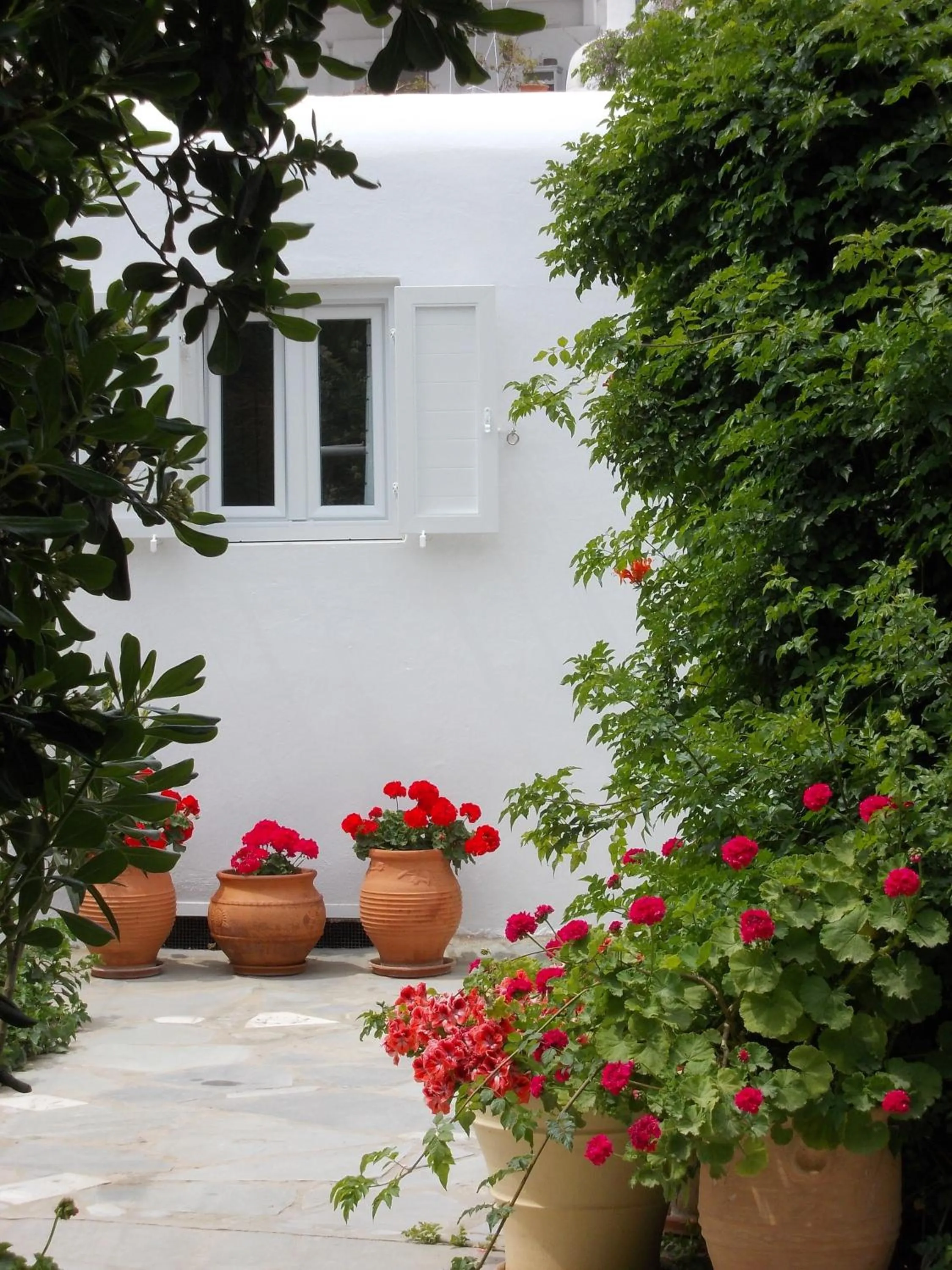 Garden in Matina Hotel