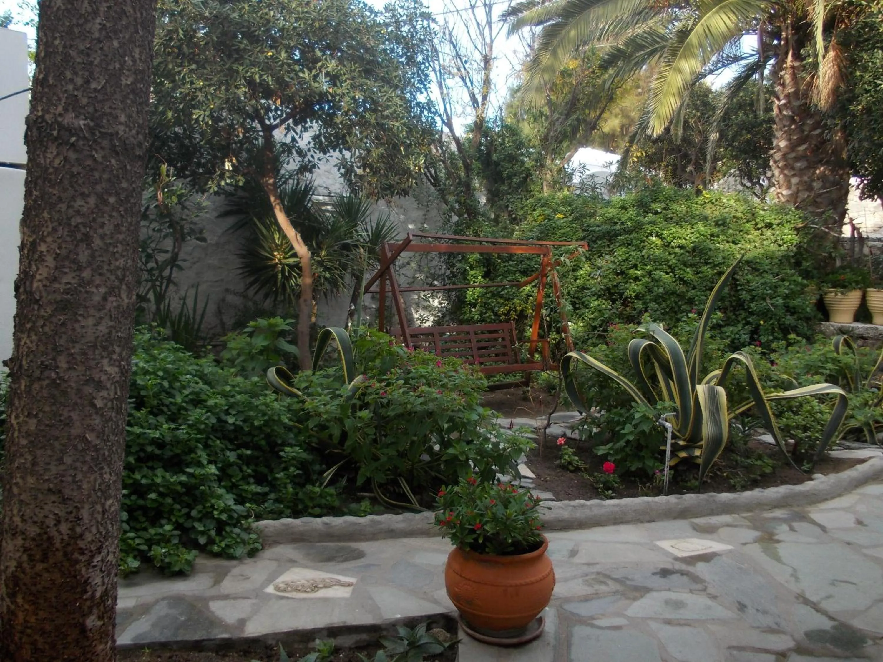 Garden in Matina Hotel