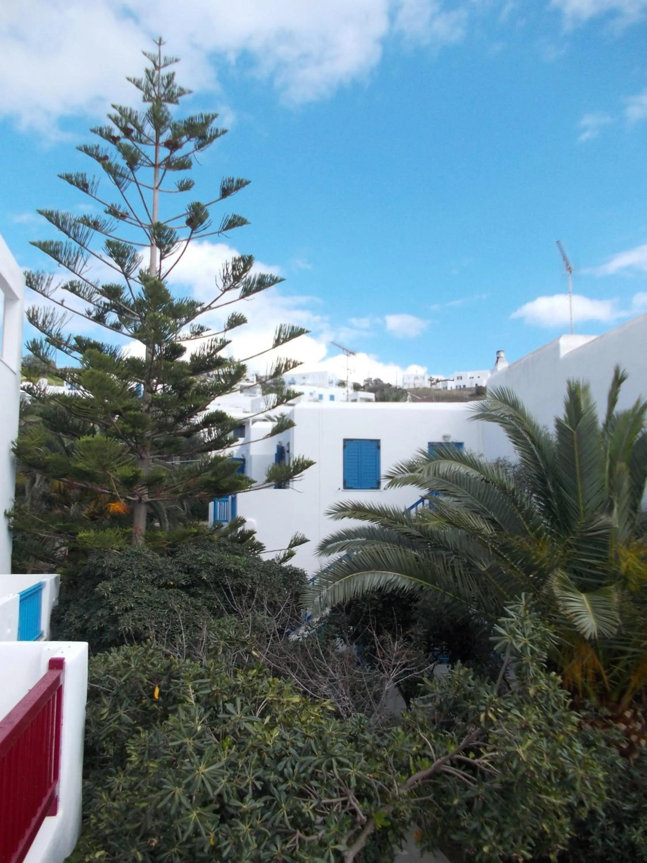 Area and facilities in Matina Hotel