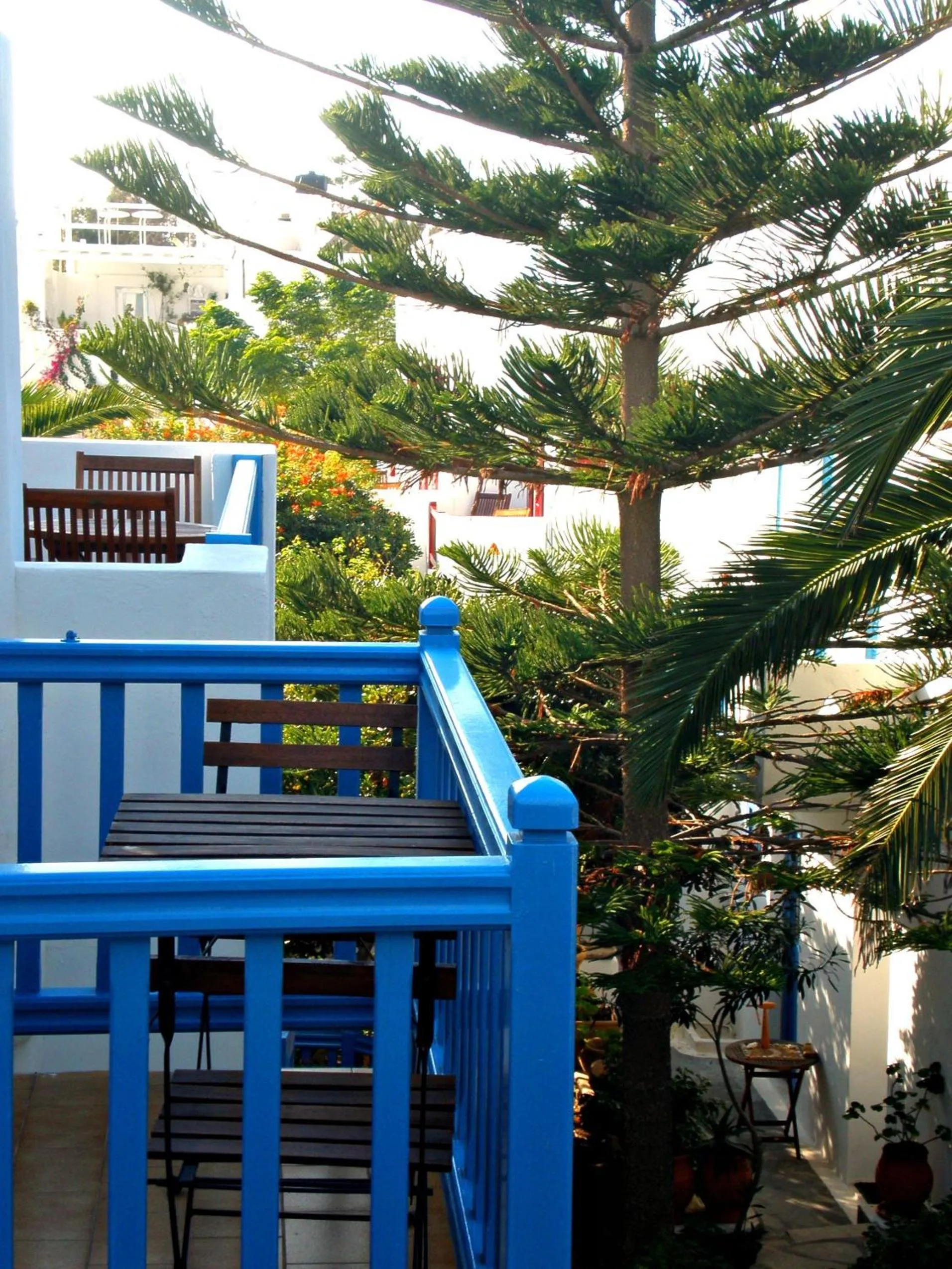 Balcony/Terrace in Matina Hotel