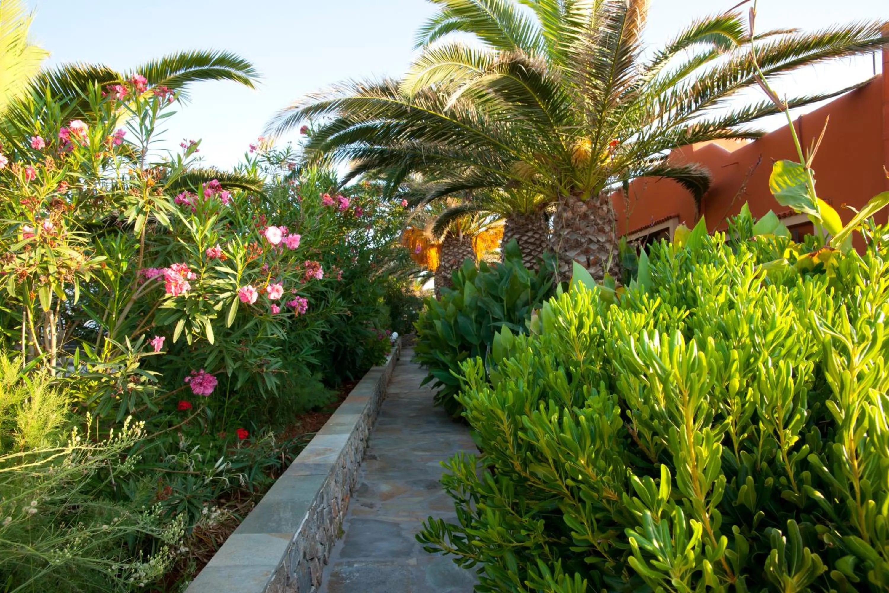 Garden in Georgia Vicky Studios & Apartments