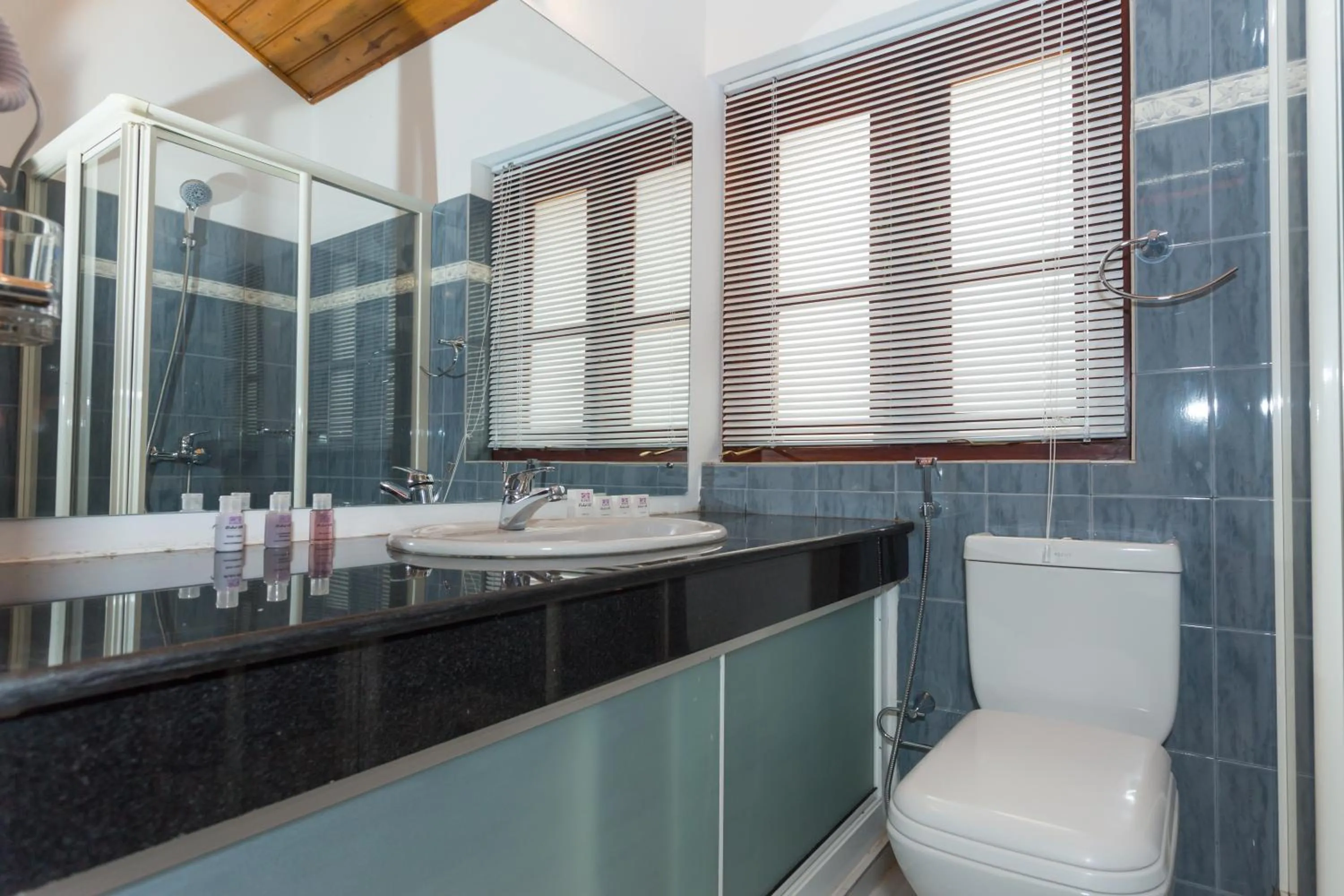 Shower in Orchid Villa Kandy