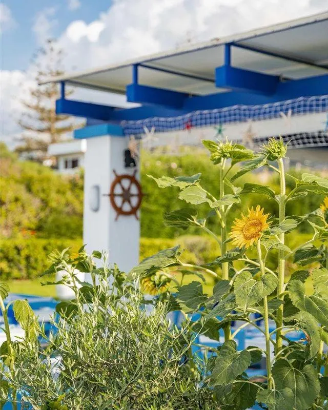 Restaurant/places to eat in Sergiani Garden Hotel Apartments